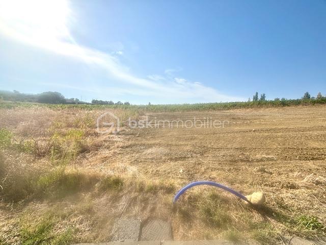 Terrain de loisirs de 1 109 m² - IMG_4019.jpg