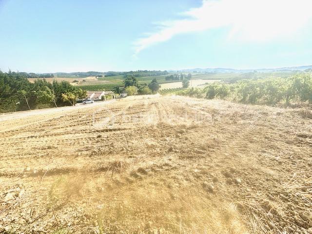 Terrain de loisirs de 1 109 m² - IMG_4023.jpg