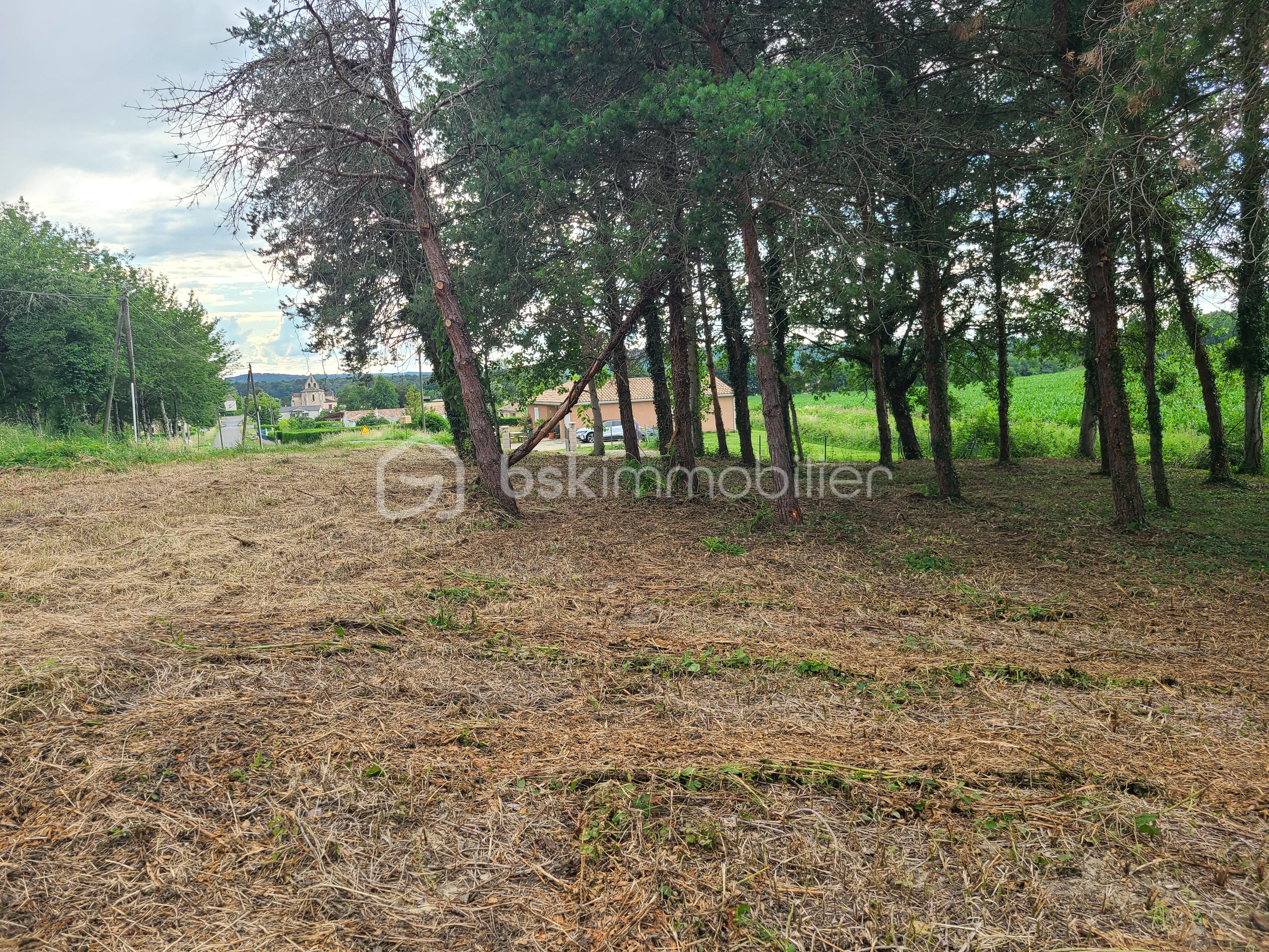 Terrain de 1 000 m² - 4.jpg
