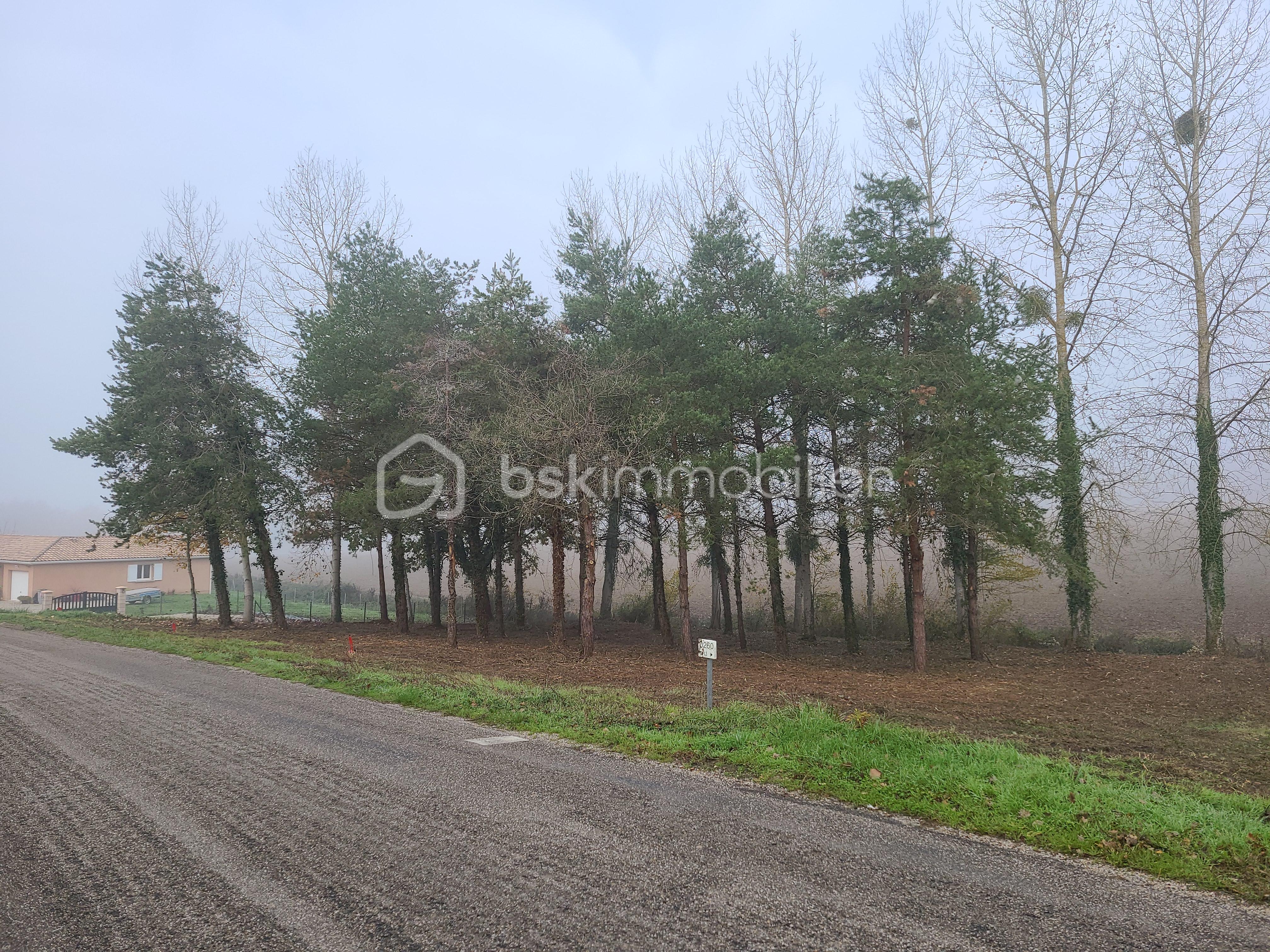 Terrain de 1 000 m² - 3.jpg