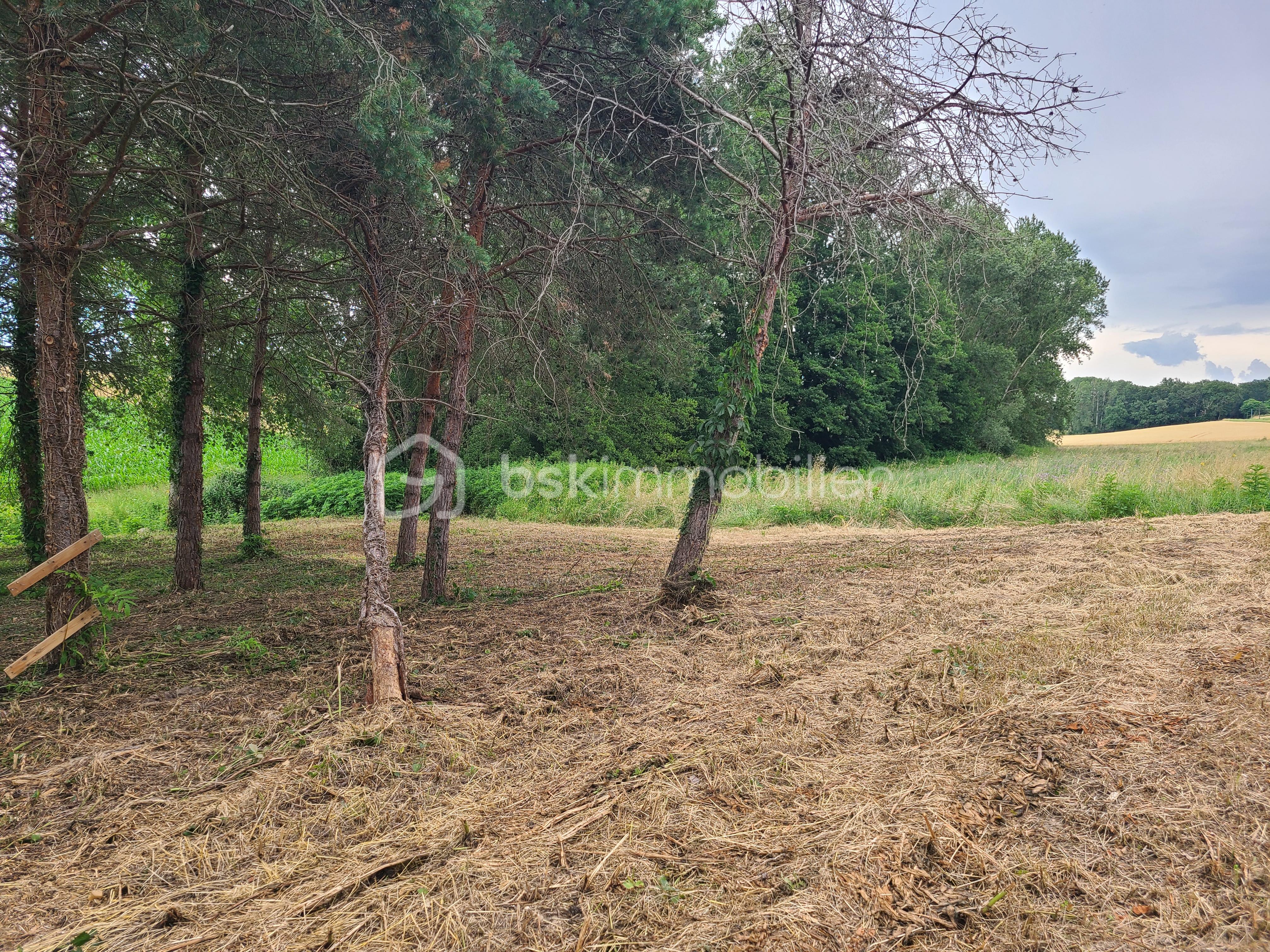 Terrain de 1 000 m² - 1.jpg