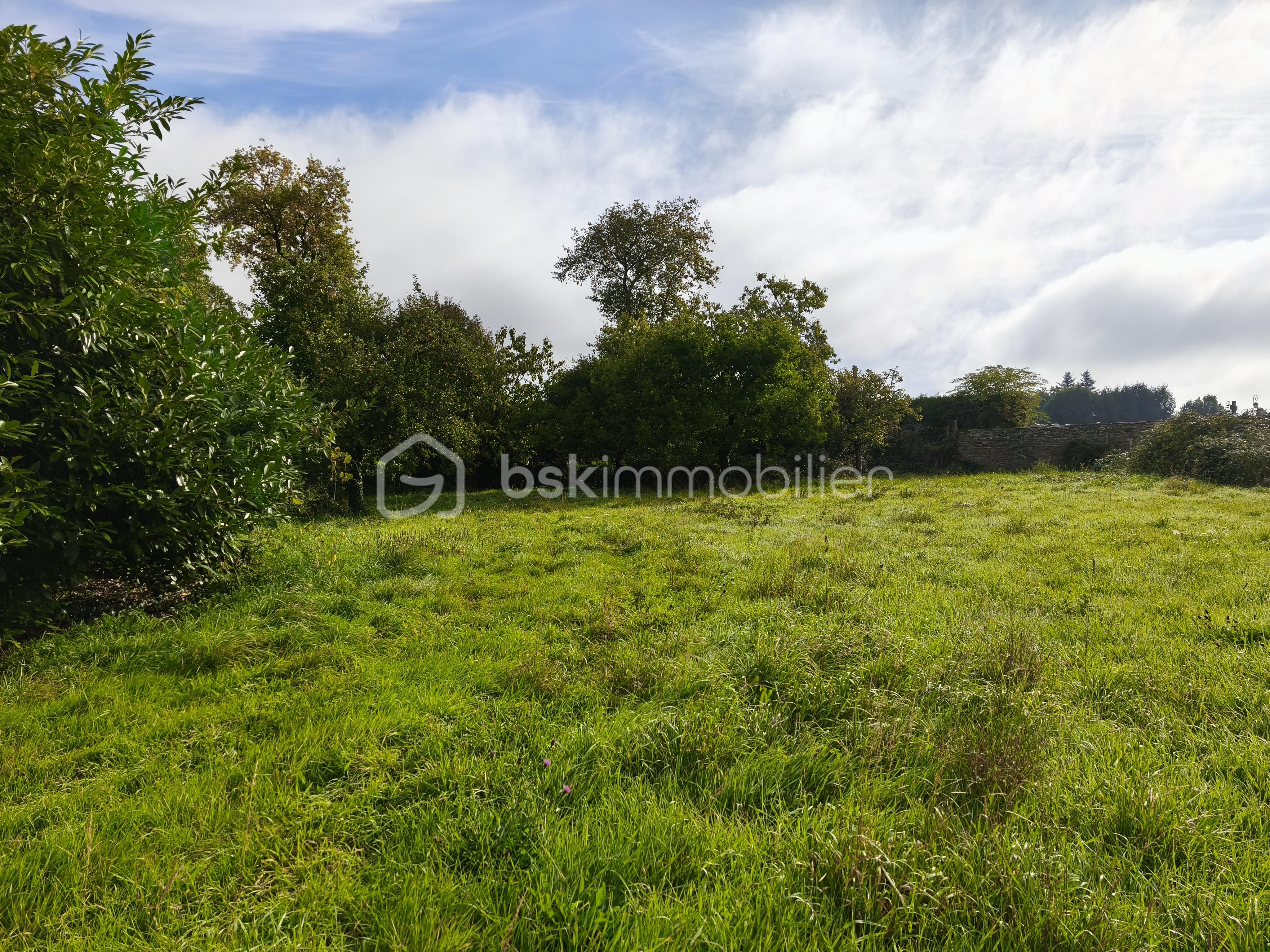 Maison de 375 m² - IMG_20251008_113638.jpg