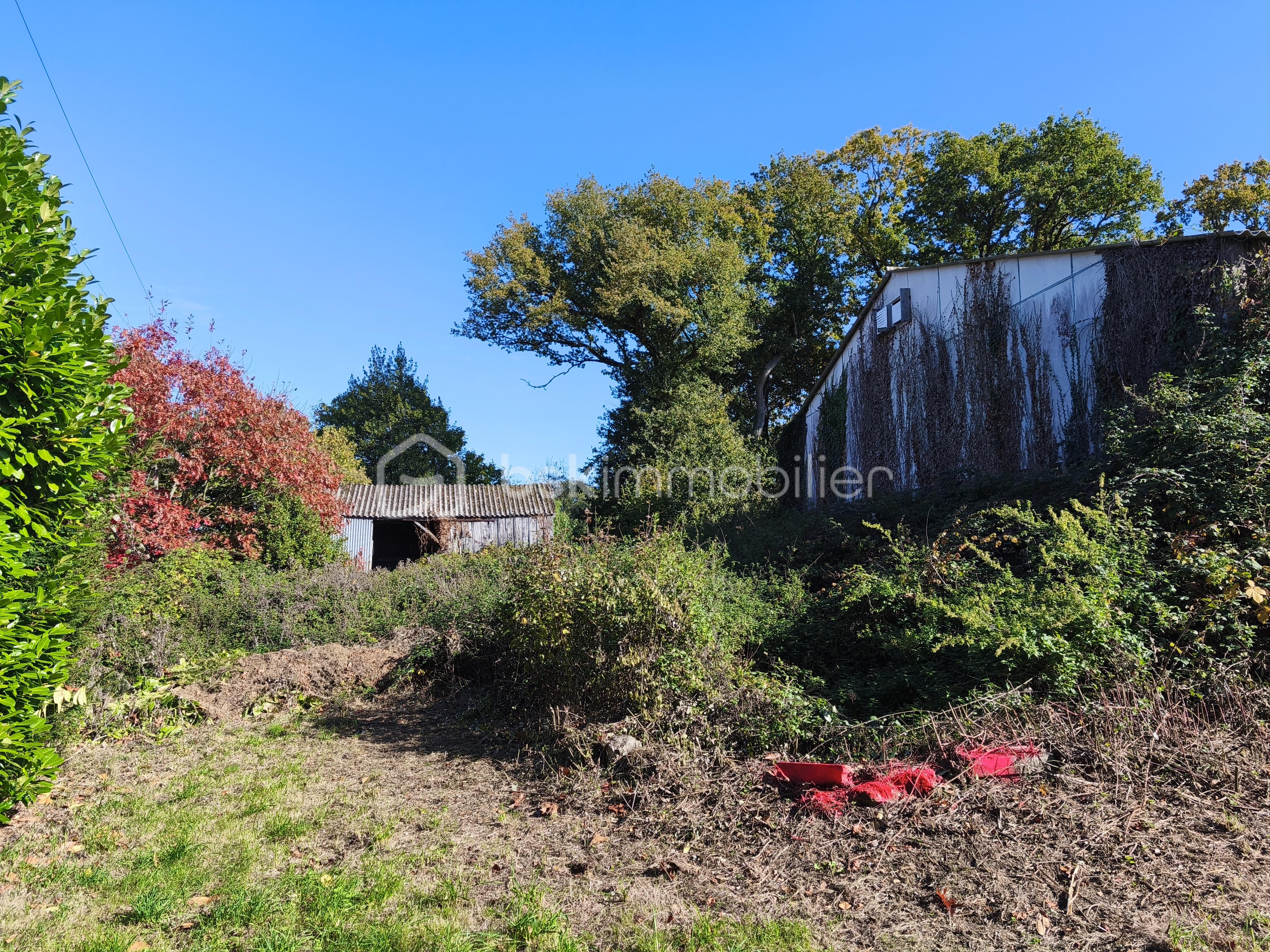 Maison de 375 m² - IMG_20251017_145544.jpg