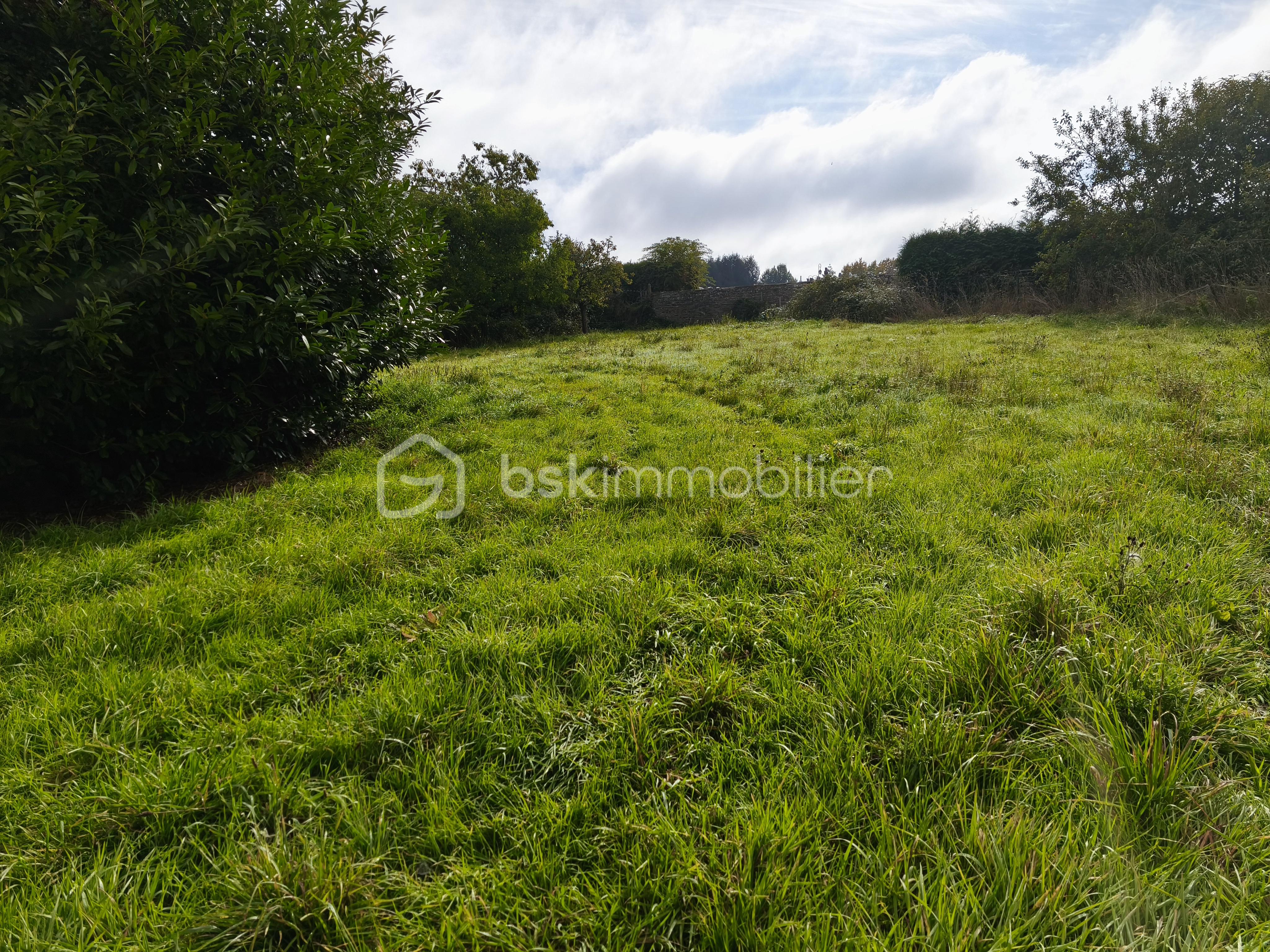 Maison de 375 m² - IMG_20251008_113626.jpg