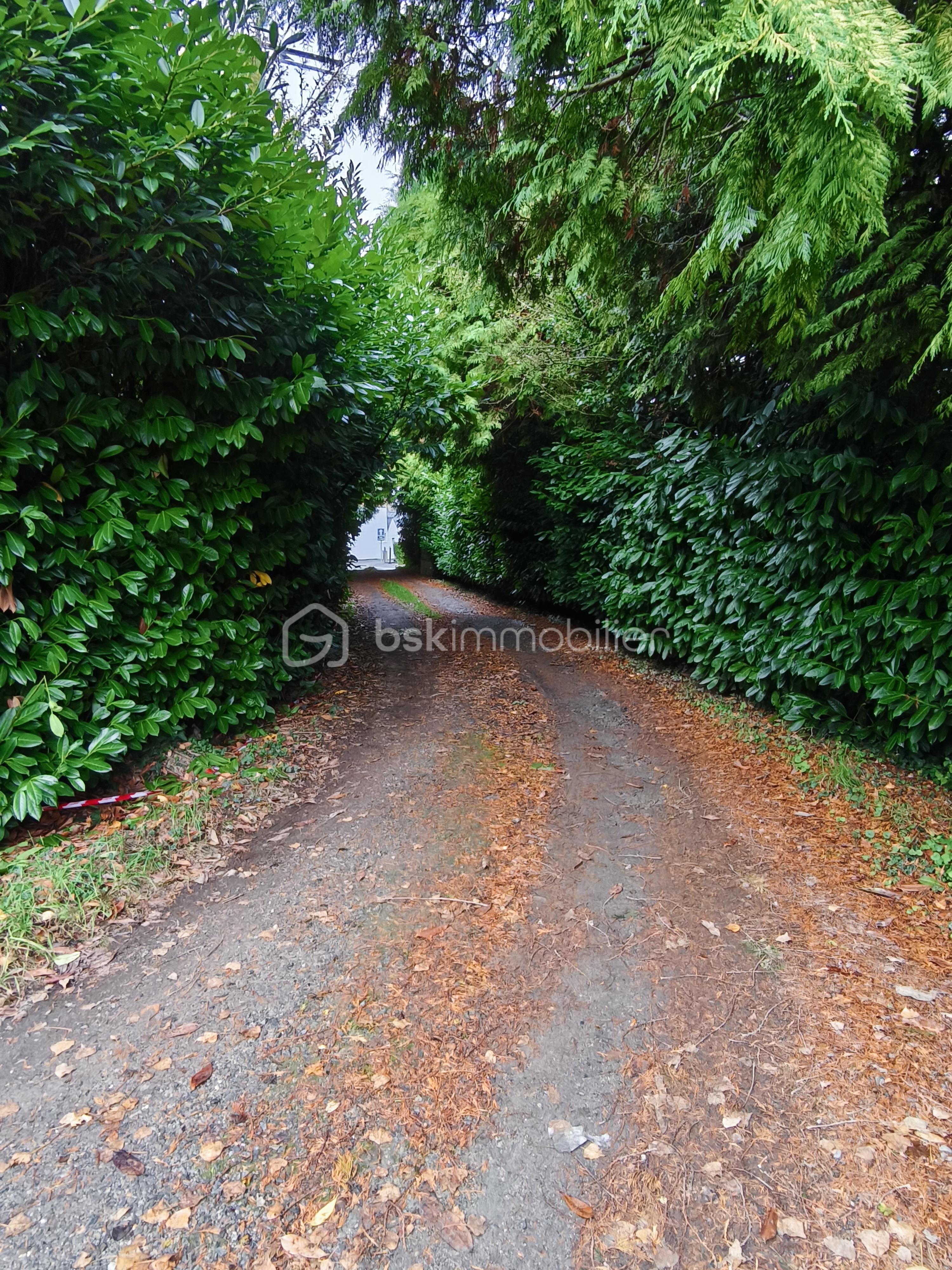 Maison de 375 m² - IMG_20251028_085802.jpg