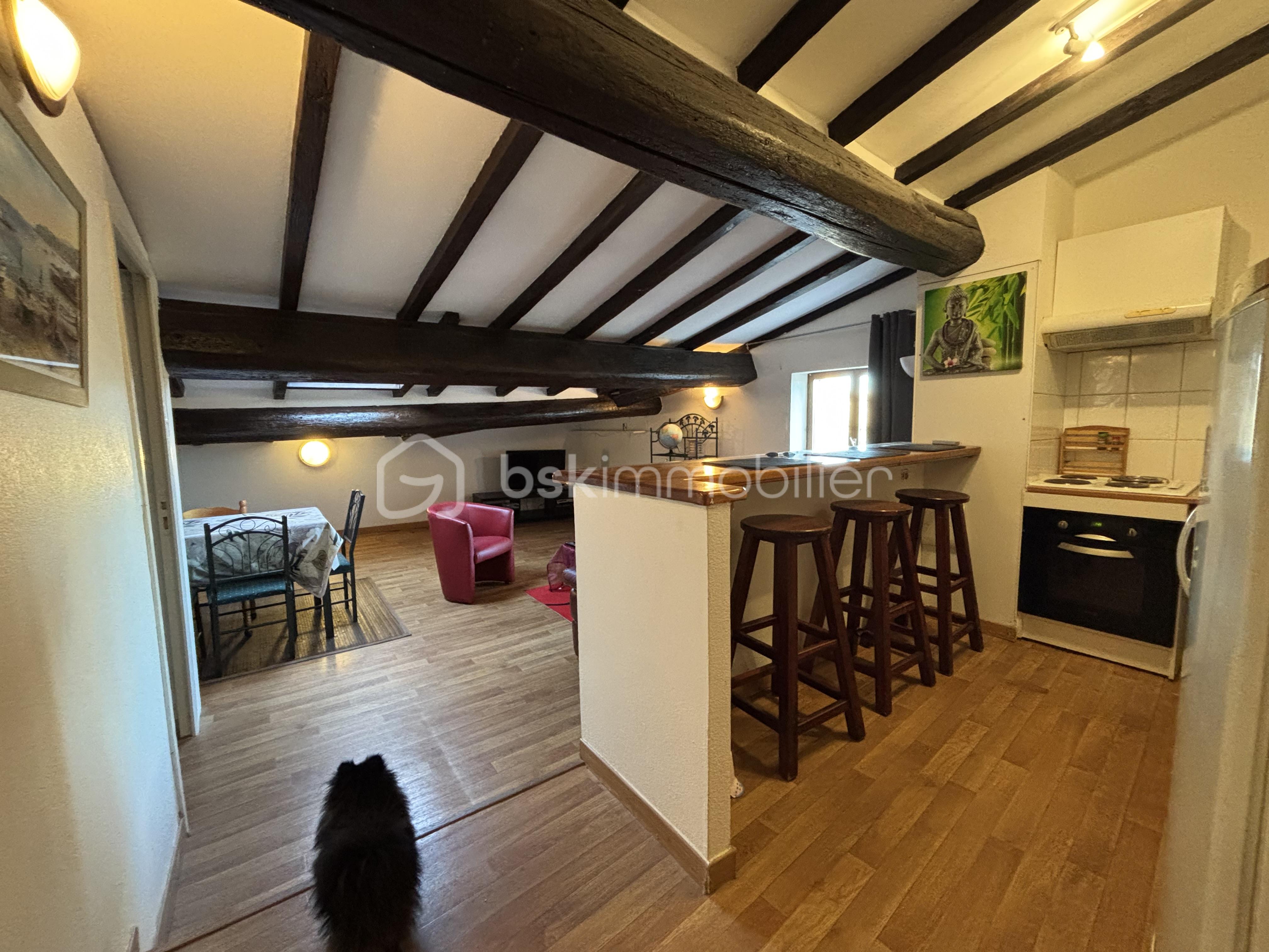 Appartement de 31,23 m² - image00005.jpeg