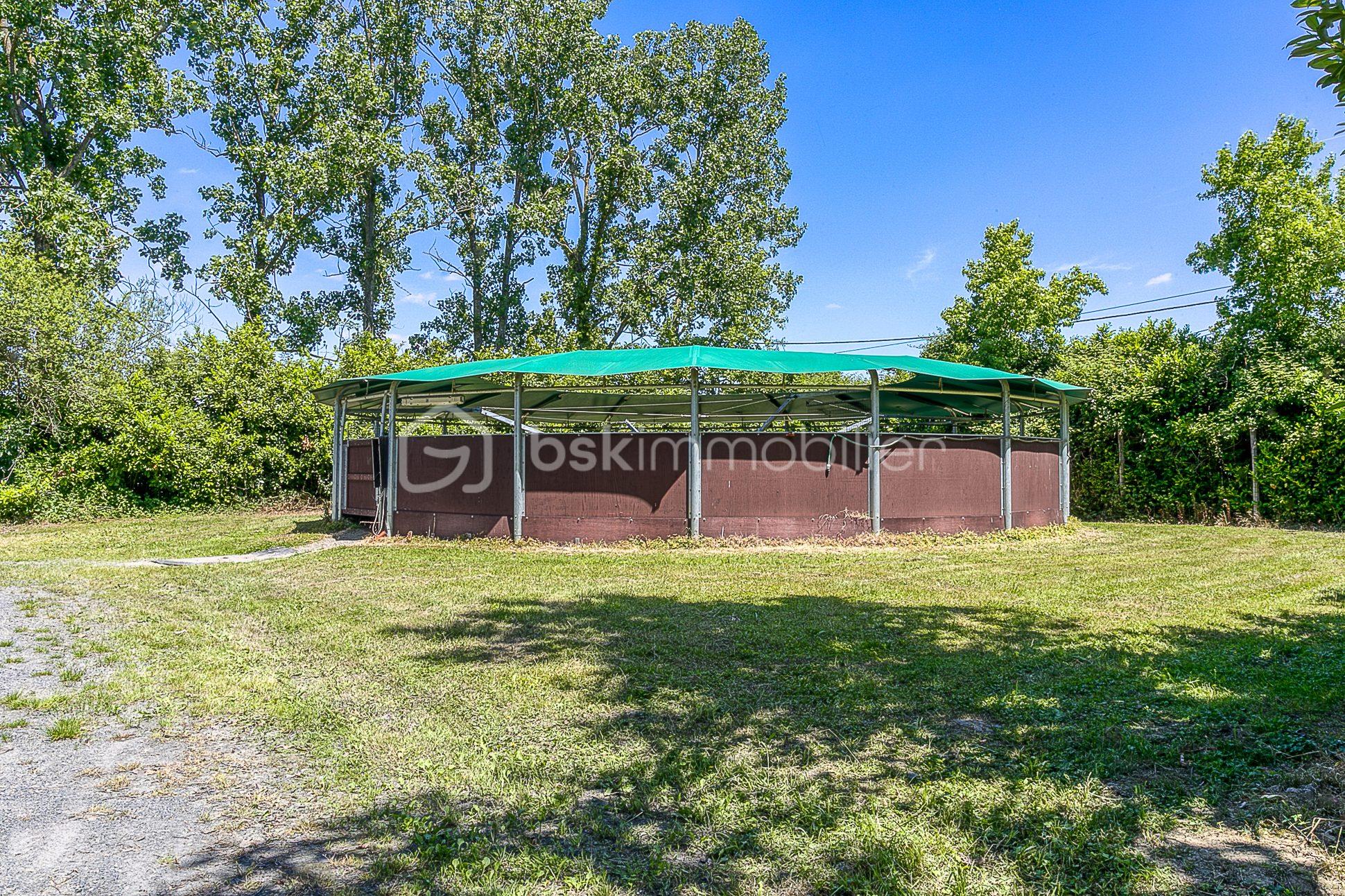 maison-9-pieces-tarbes-65000-1775726874-VM4273_55_original.jpg