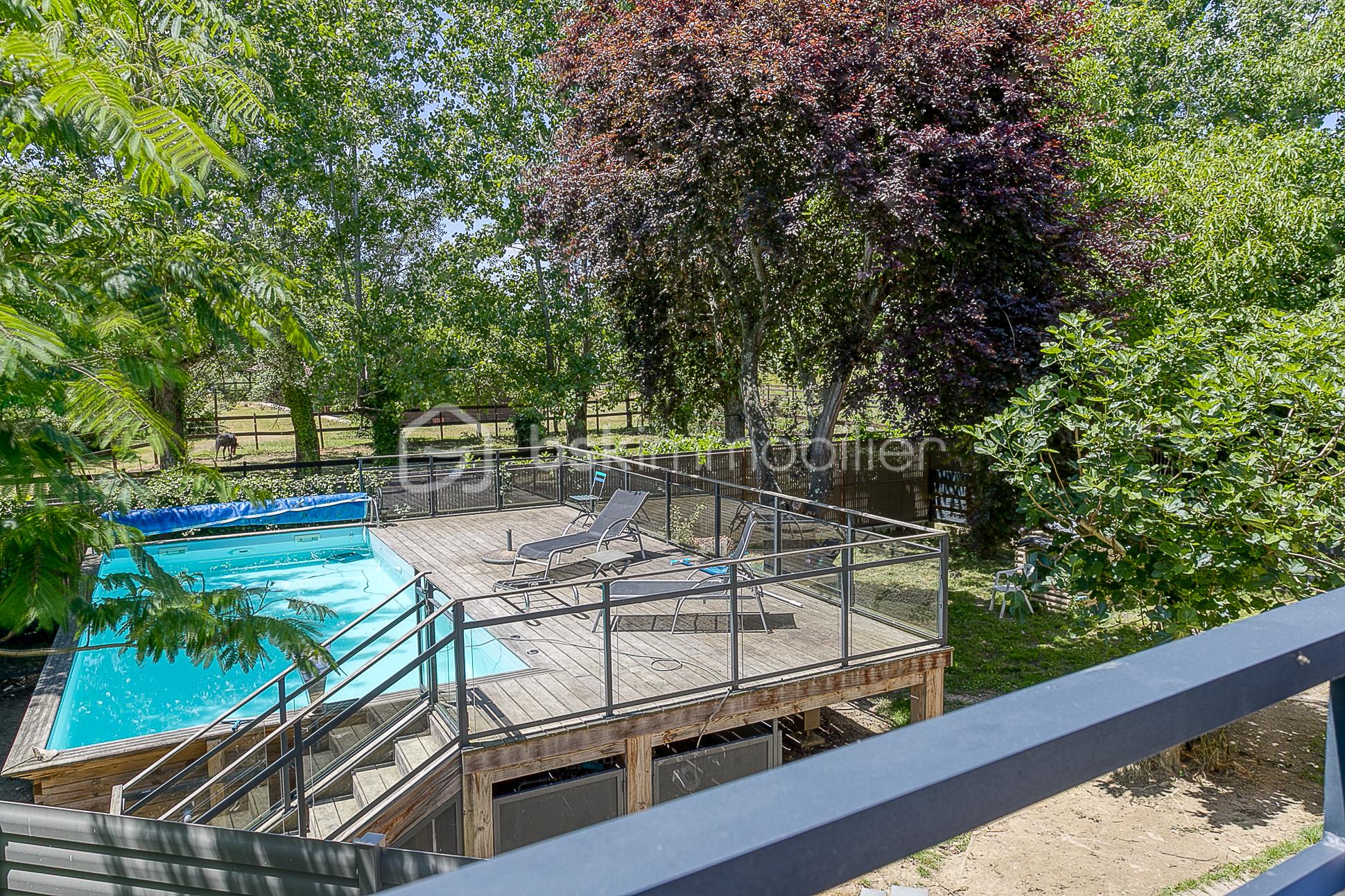 piscine depuis terrasse sud bis.jpg