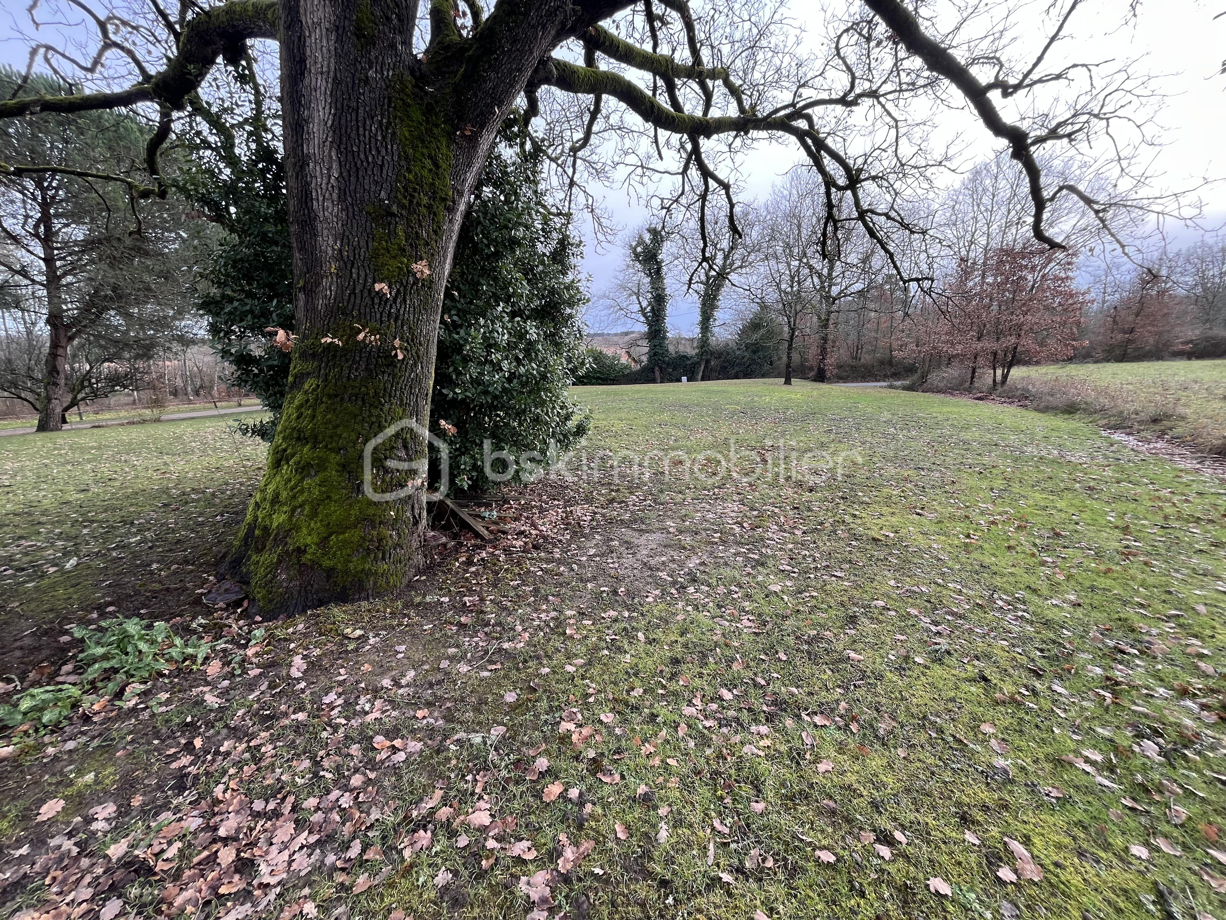 Corps de ferme de 180 m² - IMG_9033.jpeg