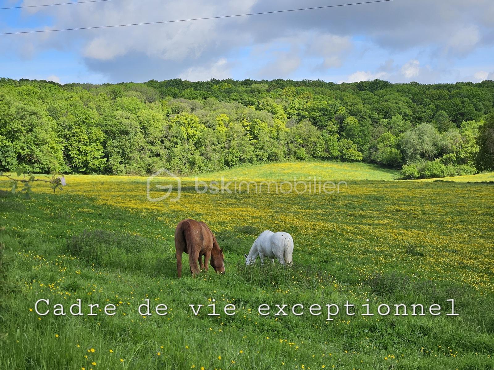 Terrain de 226 m² - 1.jpg