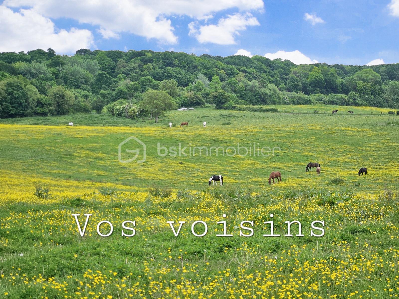 Terrain de 226 m² - 2.jpg