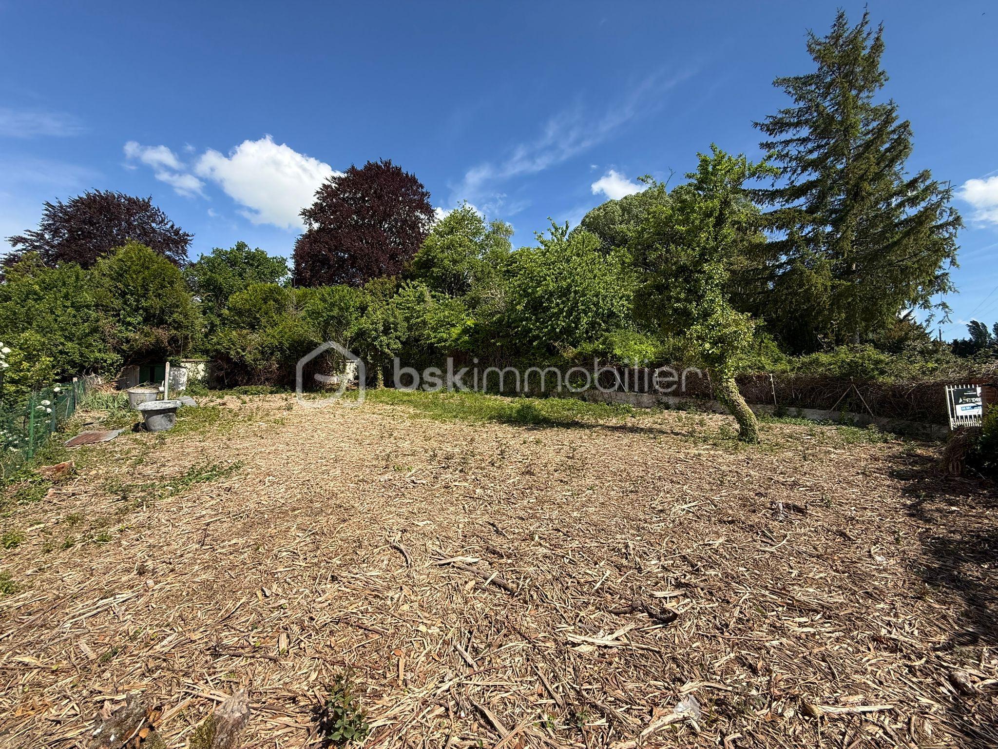 WhatsApp Image 2026-04-29 at 13.45.15 (2).jpeg