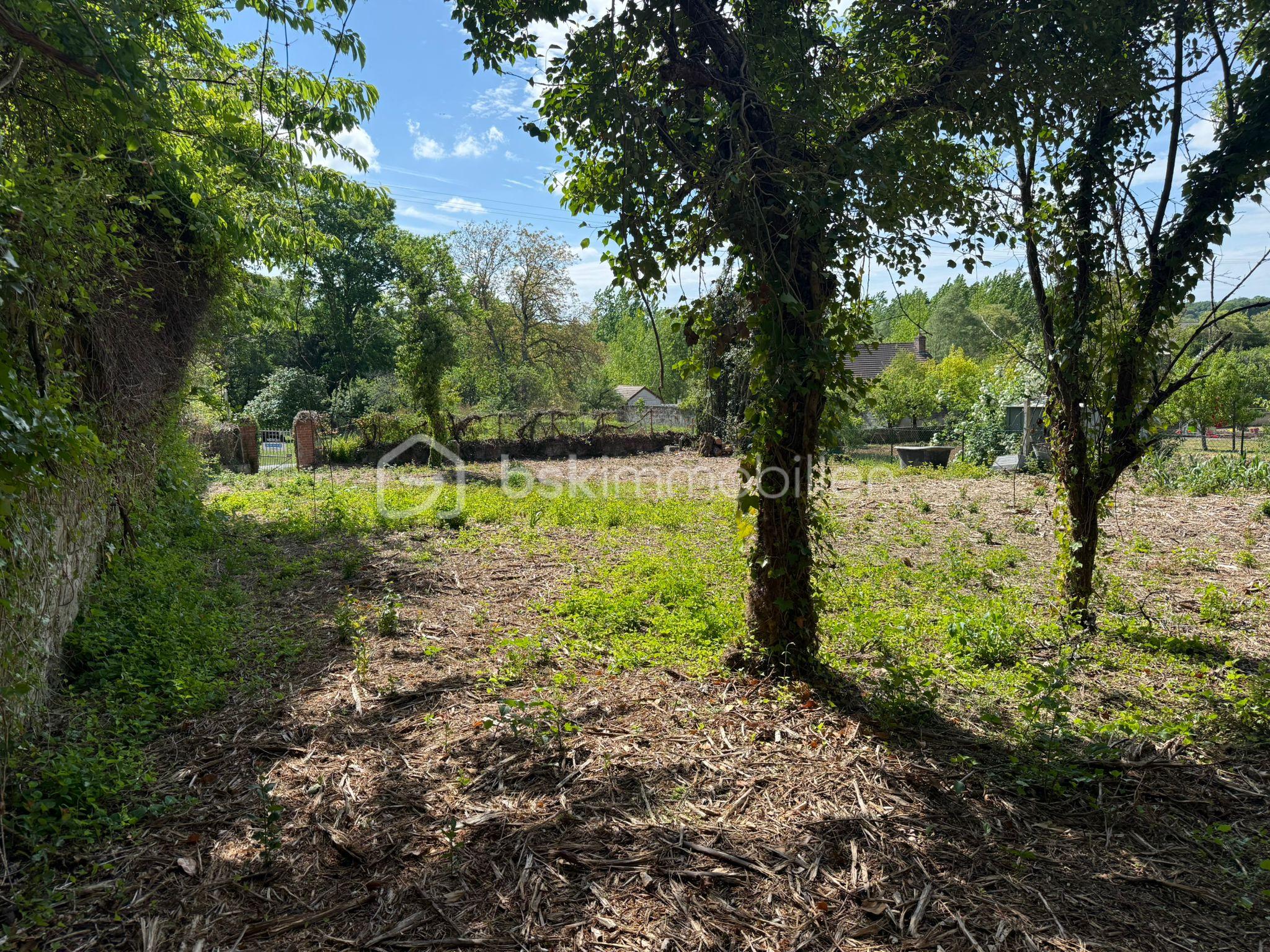 WhatsApp Image 2026-04-29 at 13.45.14 (2).jpeg