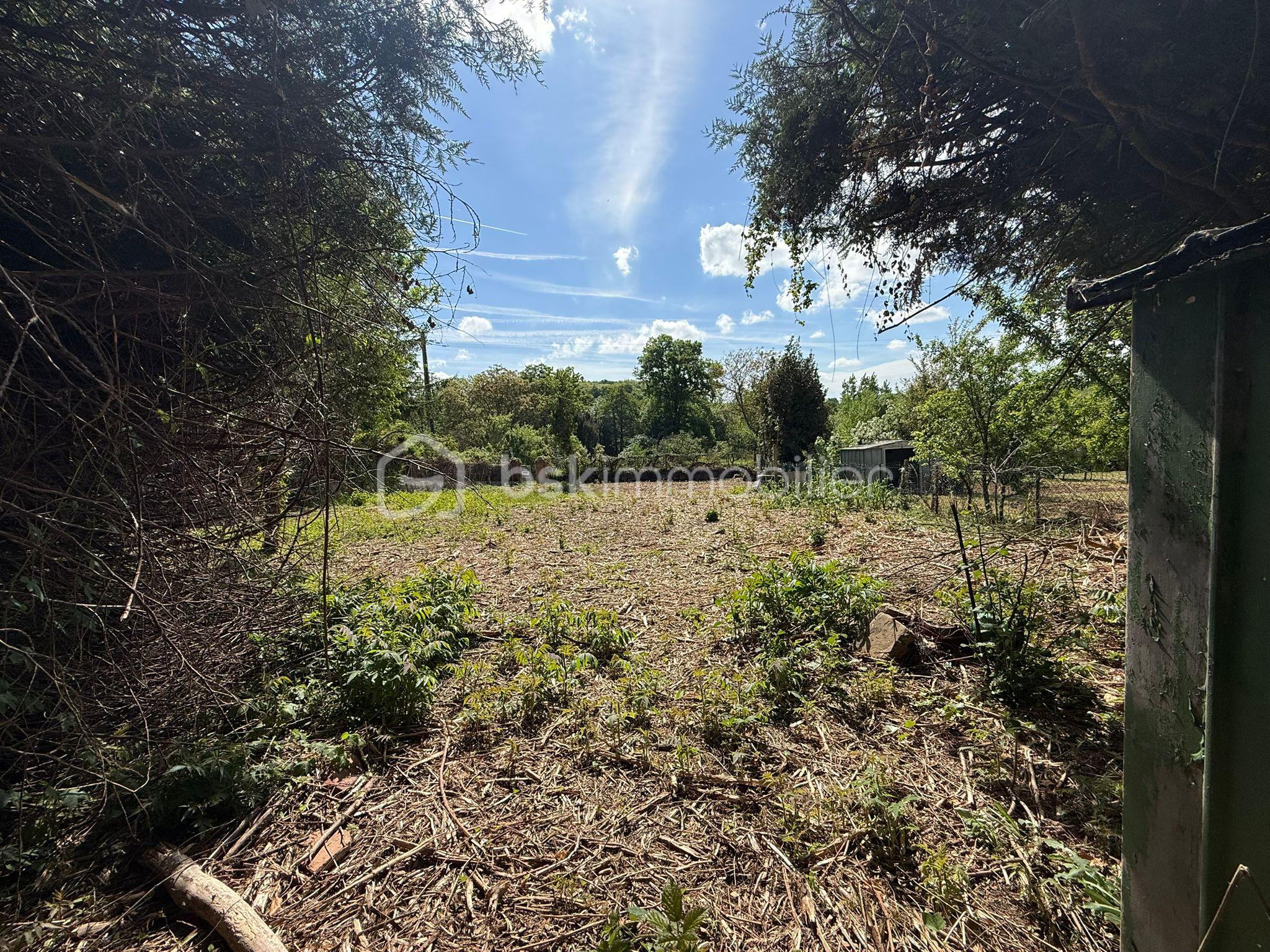 WhatsApp Image 2026-04-29 at 13.45.15.jpeg