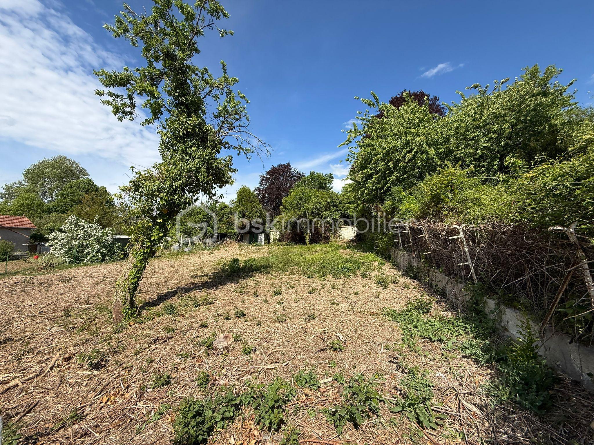 WhatsApp Image 2026-04-29 at 13.45.14 (1).jpeg