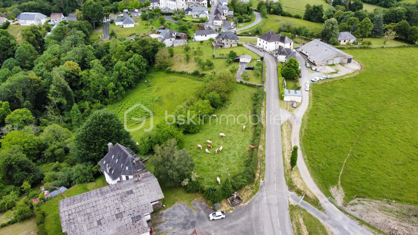 Terrain de 13 255 m² - 1717252703655.jpg