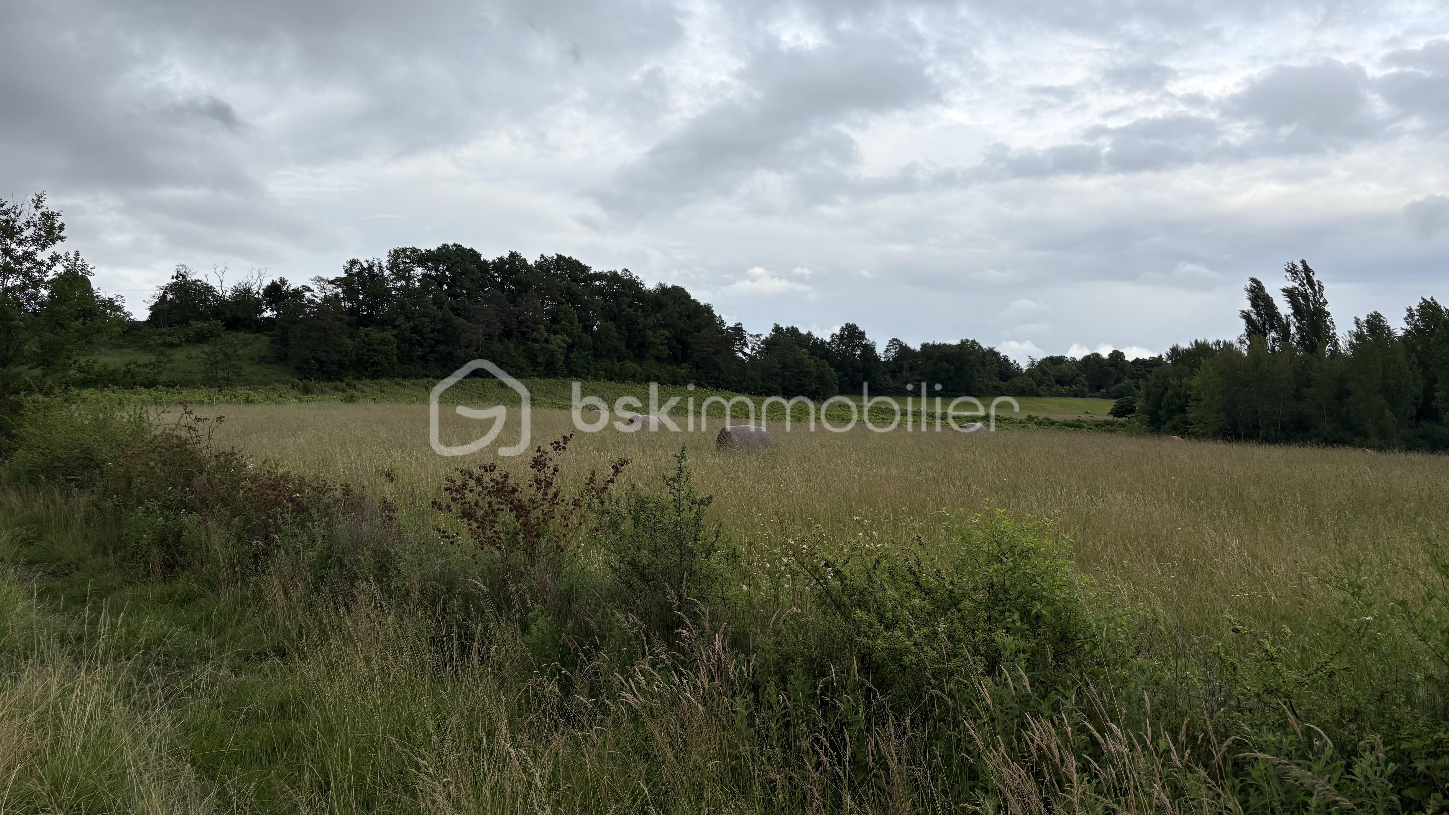 IMG_9887.jpeg
