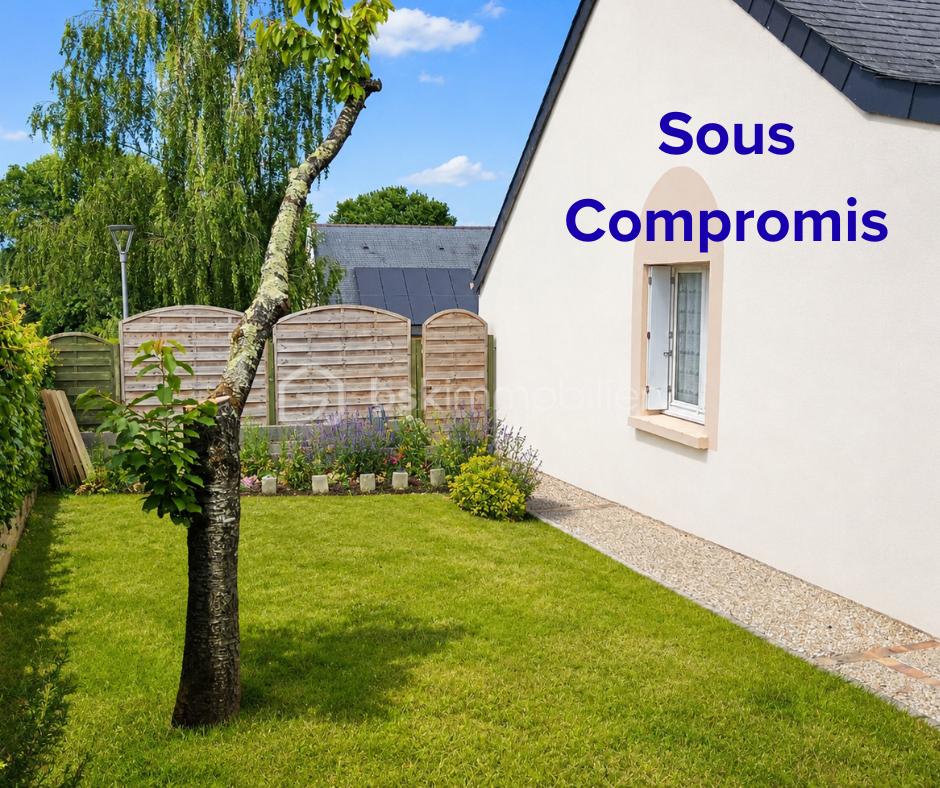 Photo sous compromis pour RS.png