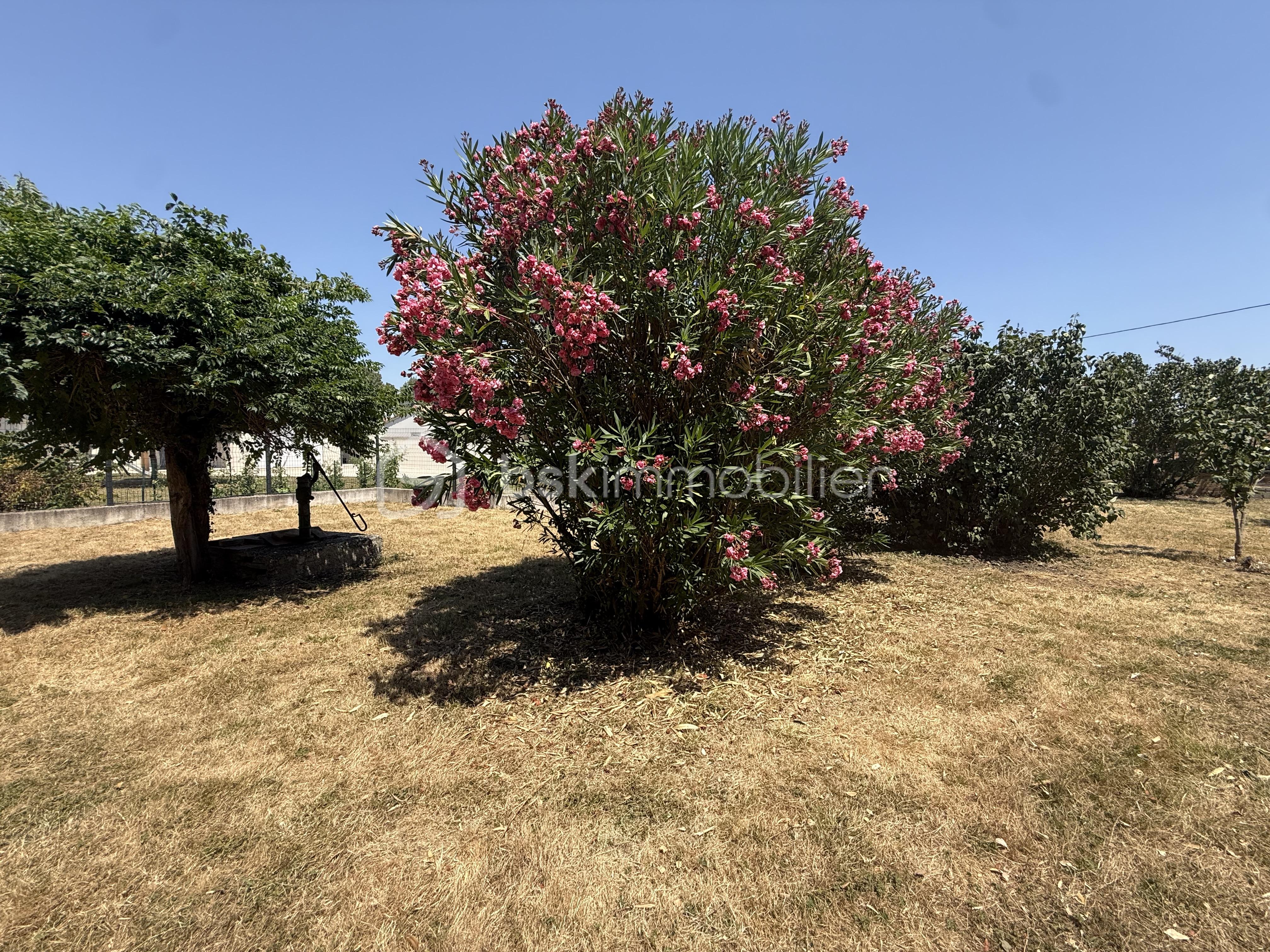 IMG_5847.jpeg