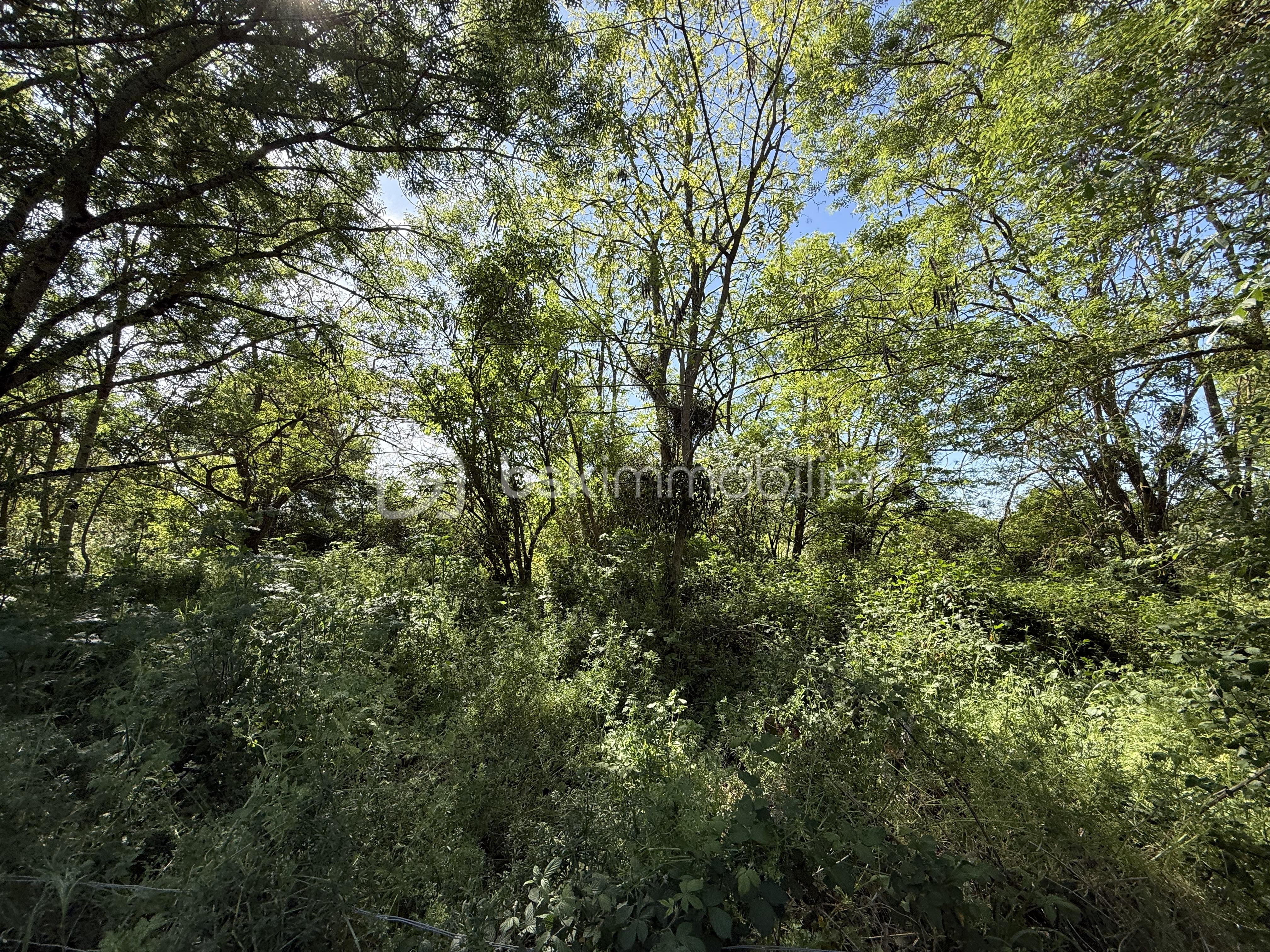 IMG_8267.jpeg