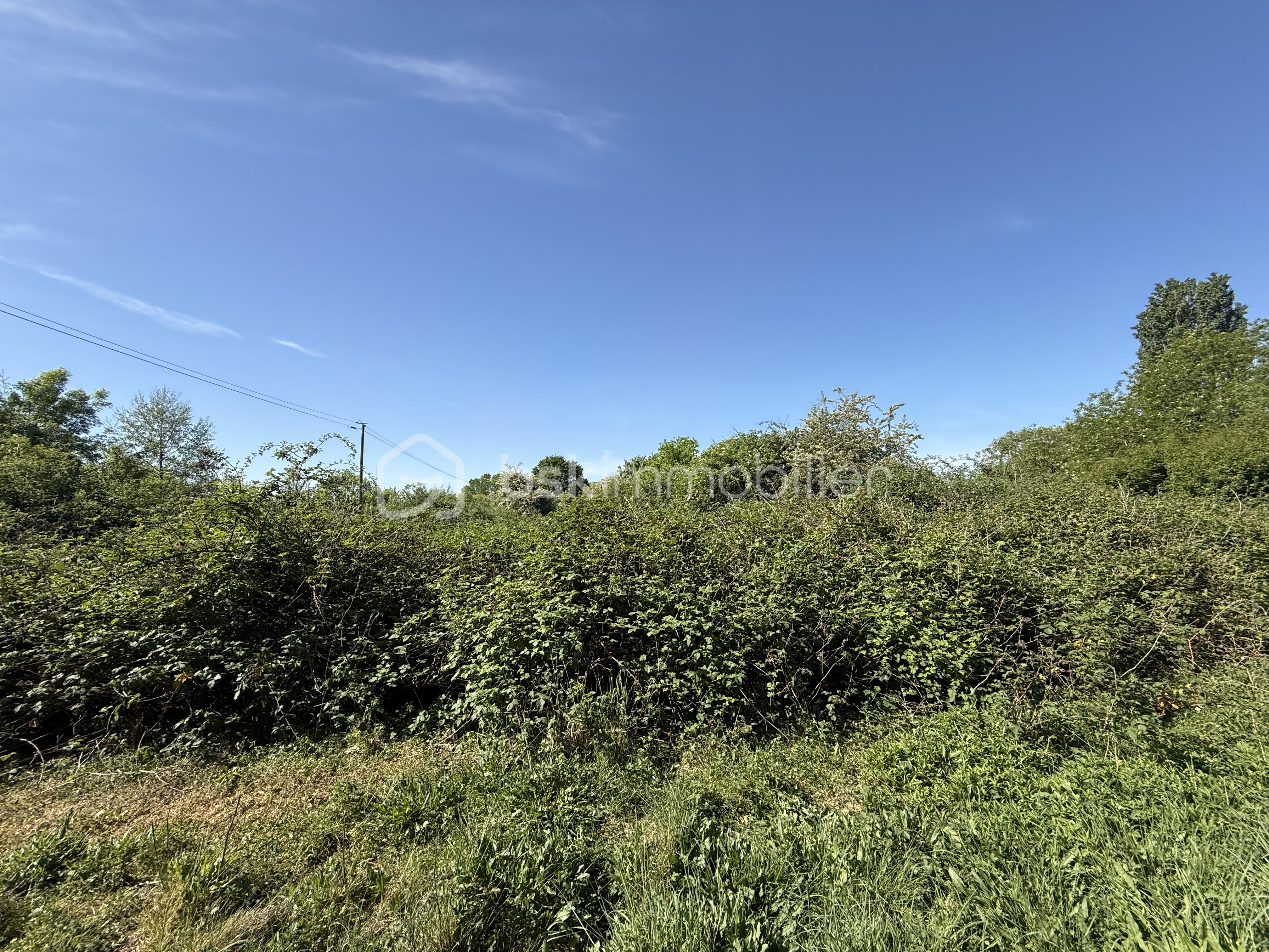 IMG_8253.jpeg