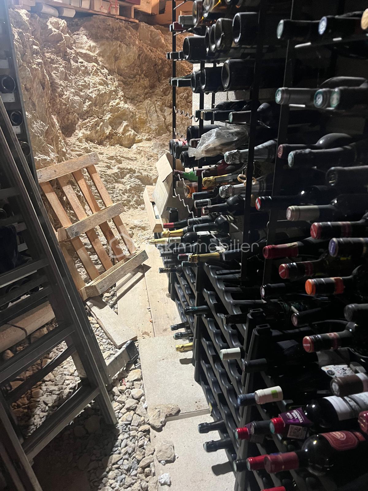 PHOTO-2026-02-10-19-05-00 (10).jpg