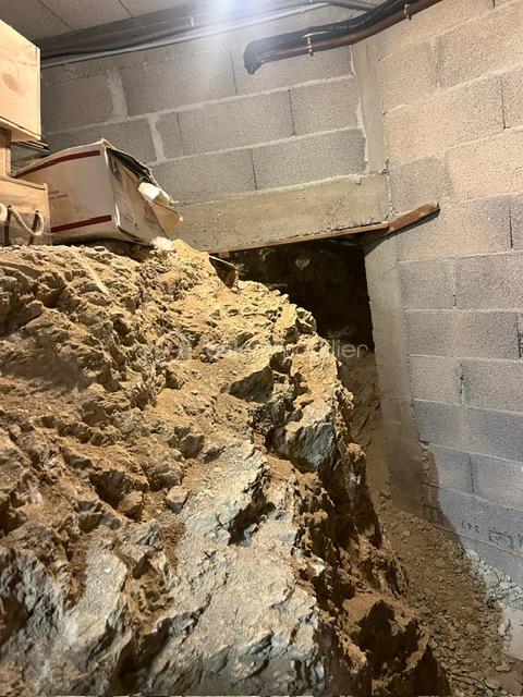 PHOTO-2026-02-10-19-05-00 (9).jpg