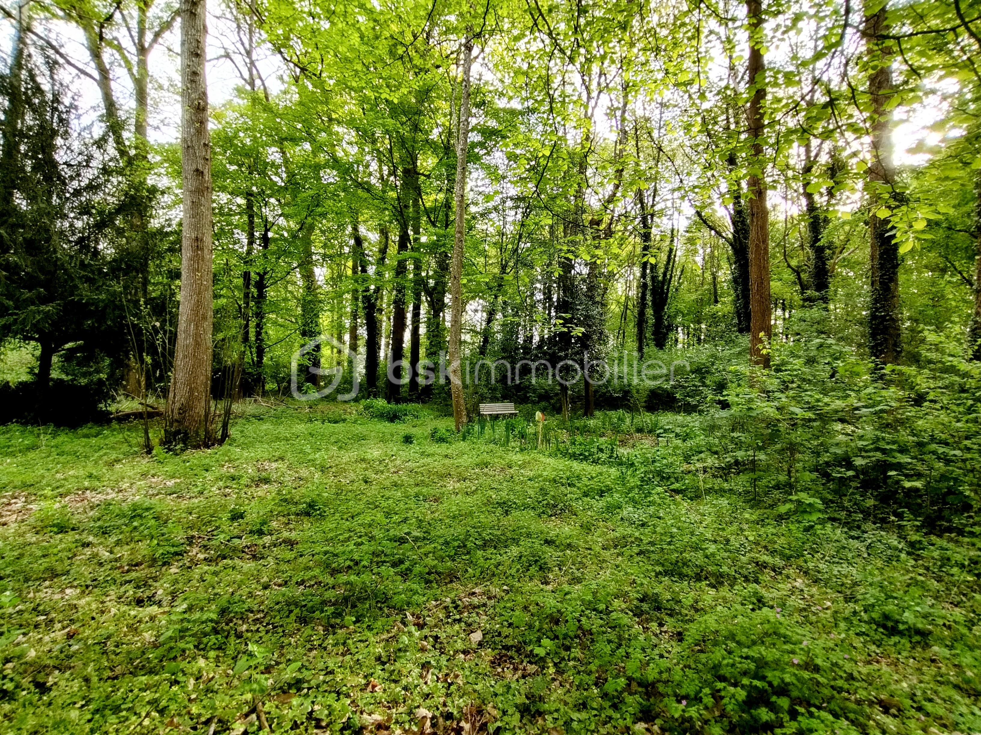 Maison de 192 m² - Jardin avec petite marre.jpg