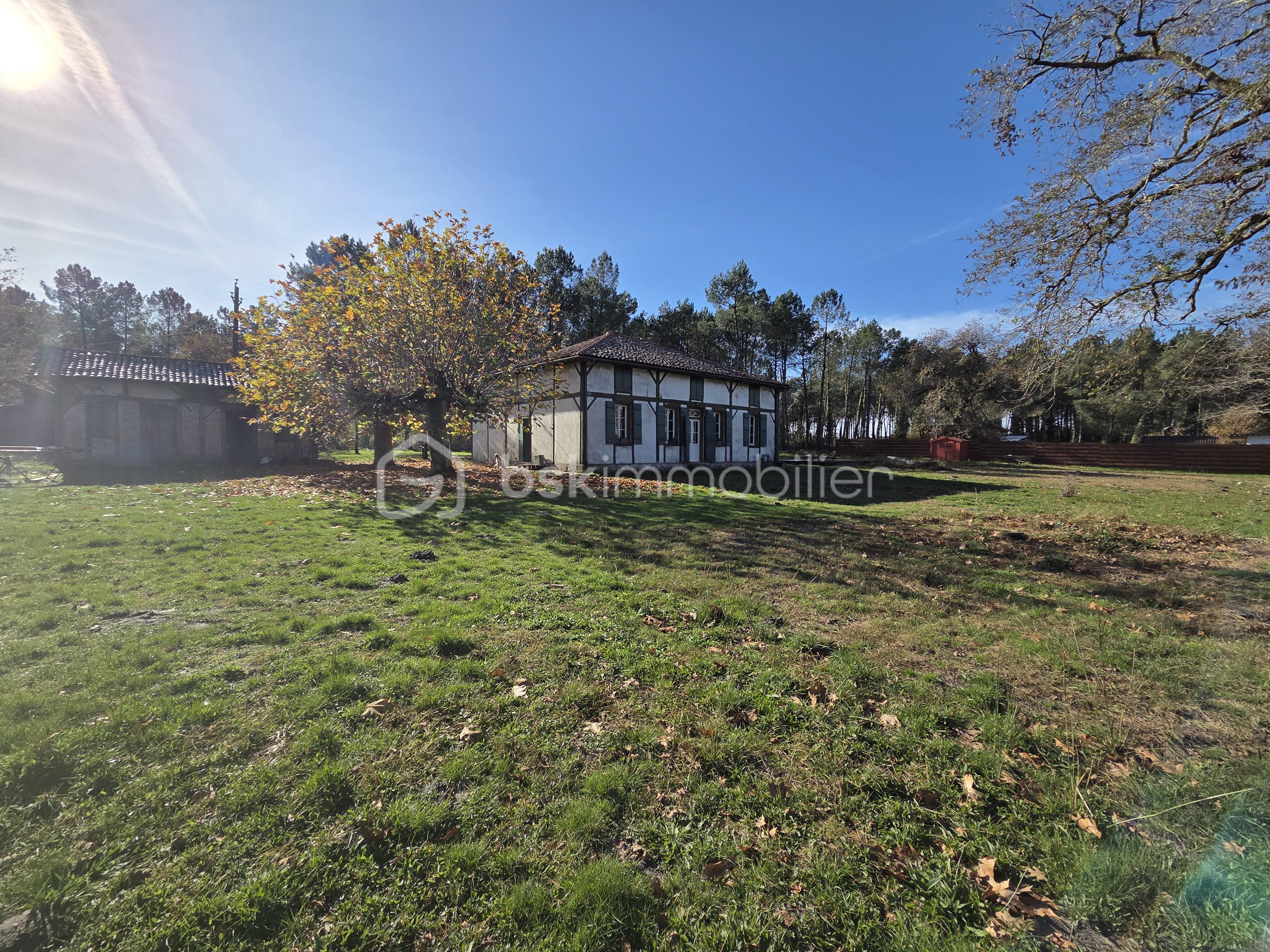 Maison ancienne de 140 m² - 20251122_124255 (1).jpg