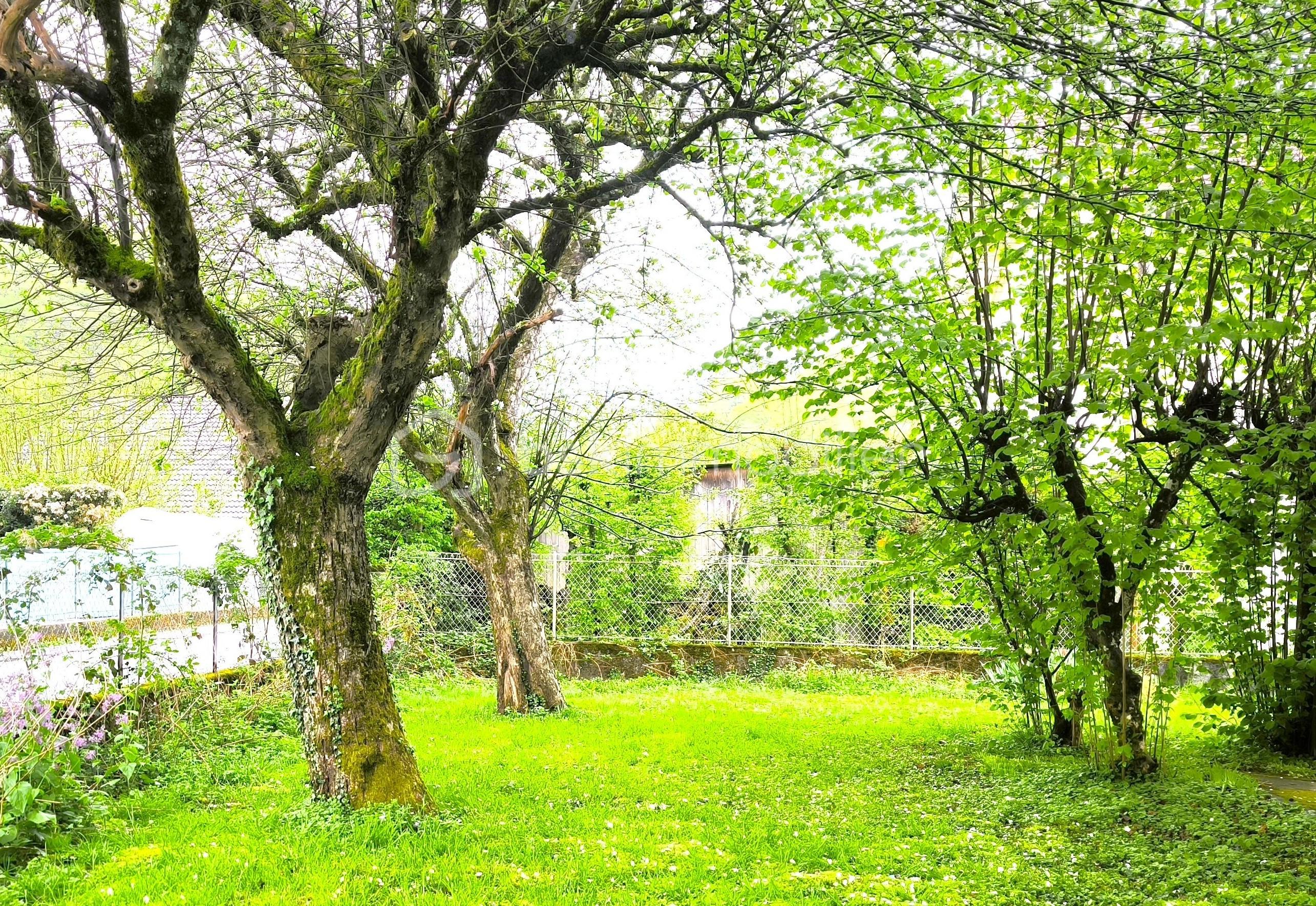 PHOTO 3 VIDONNE NEW.jpg