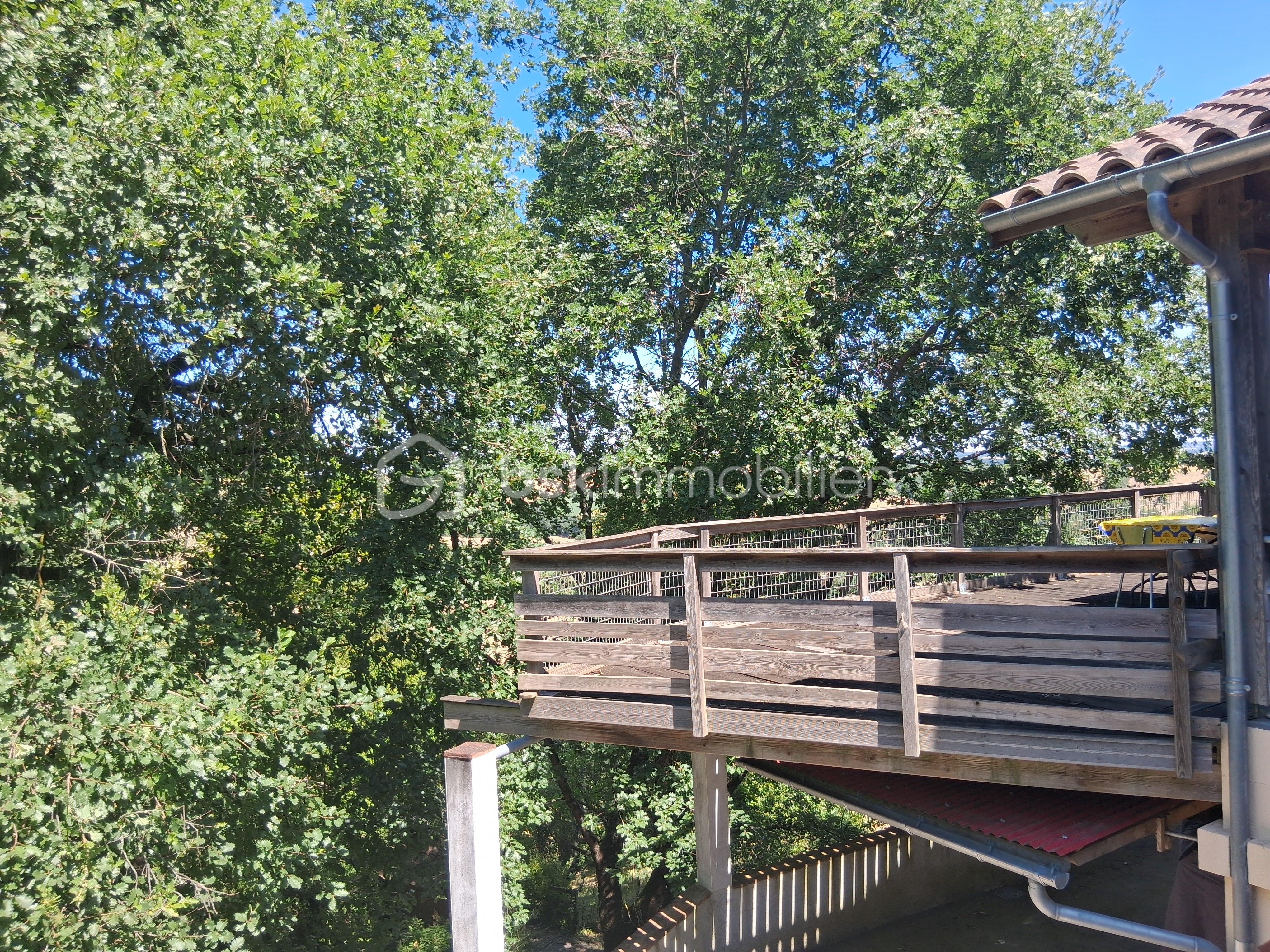 20260707_122919.jpg