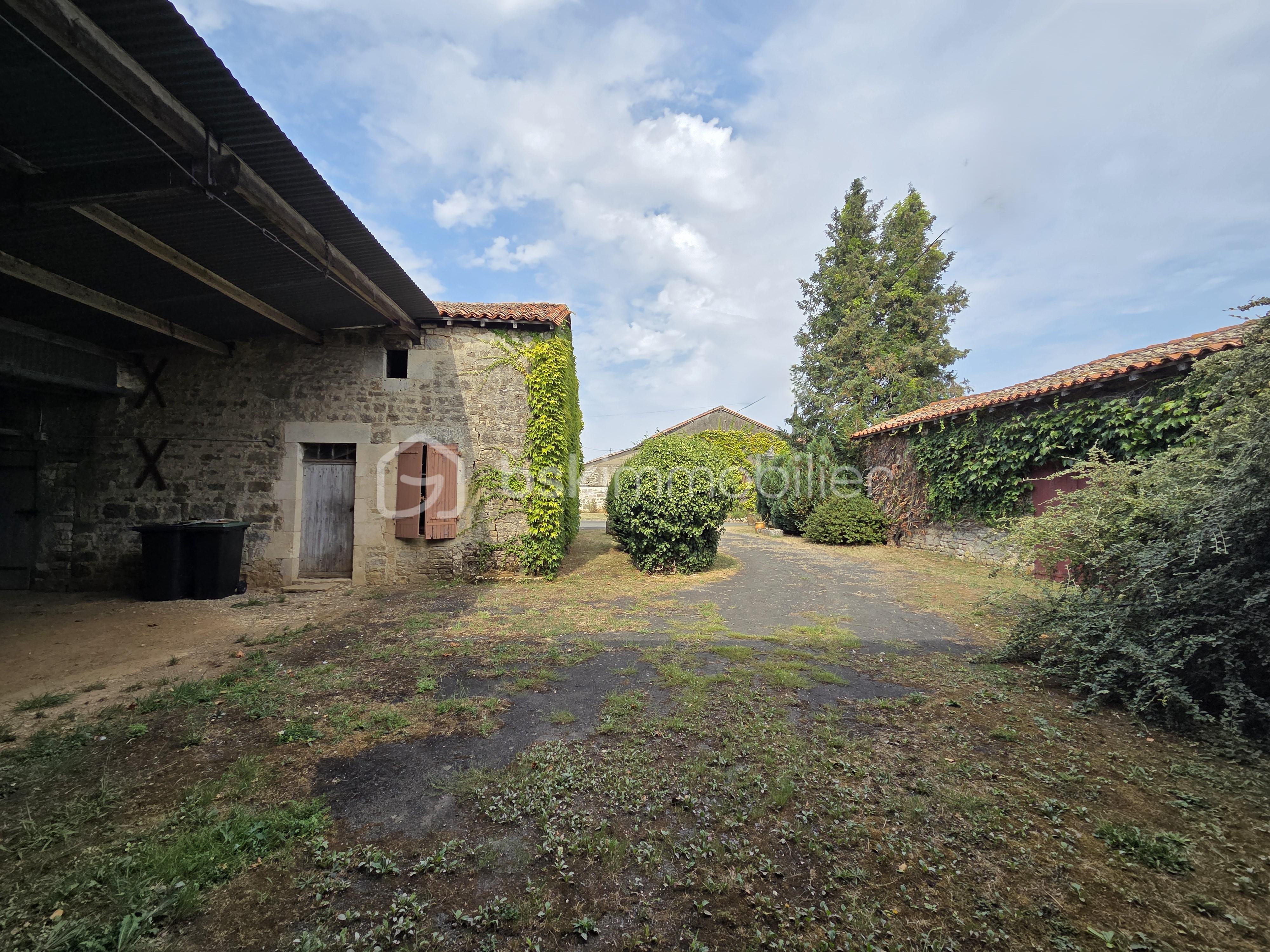 Maison de maitre de 210 m² - cour 4.jpg