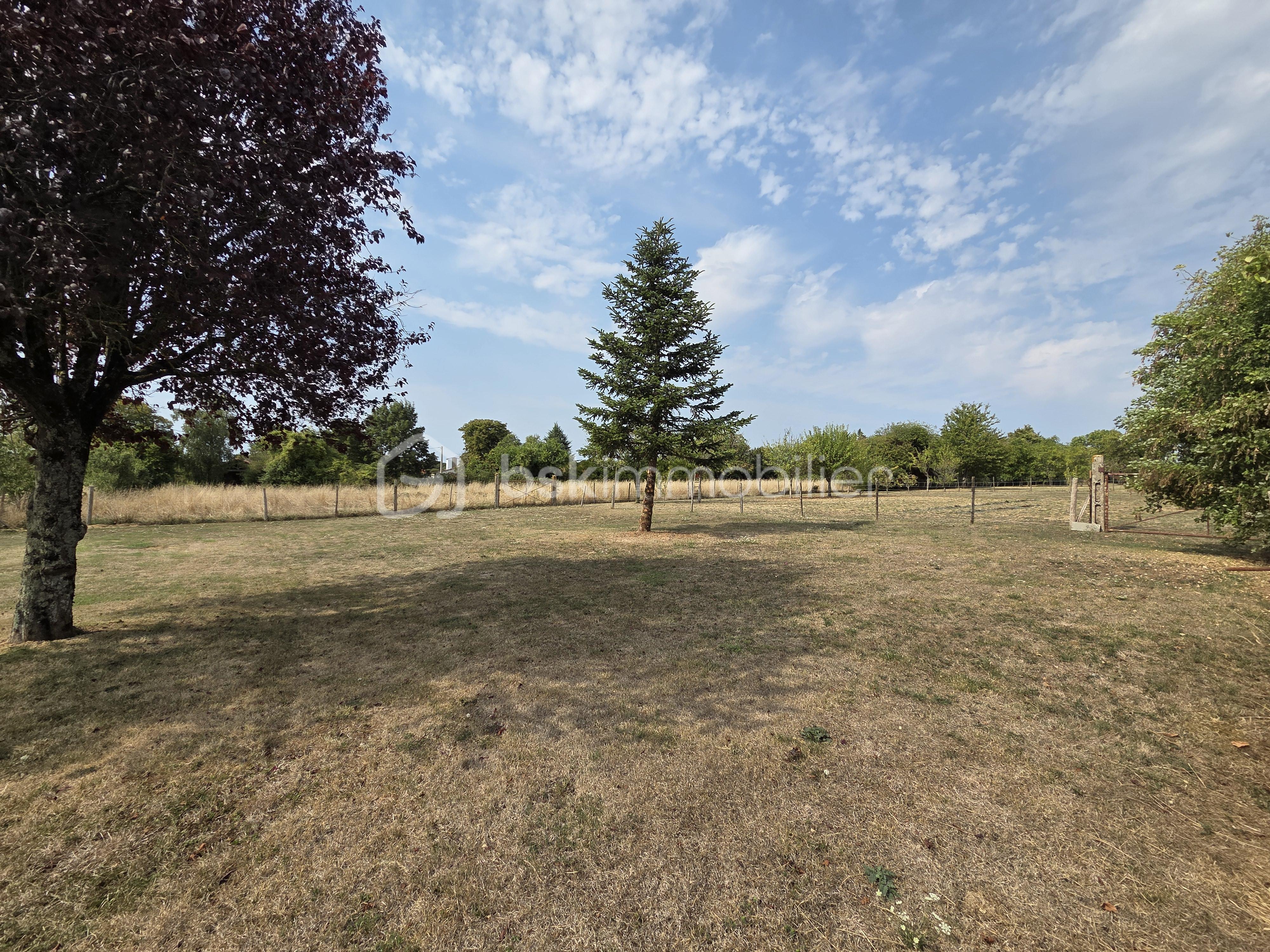 Maison de maitre de 210 m² - jardin 6.jpg