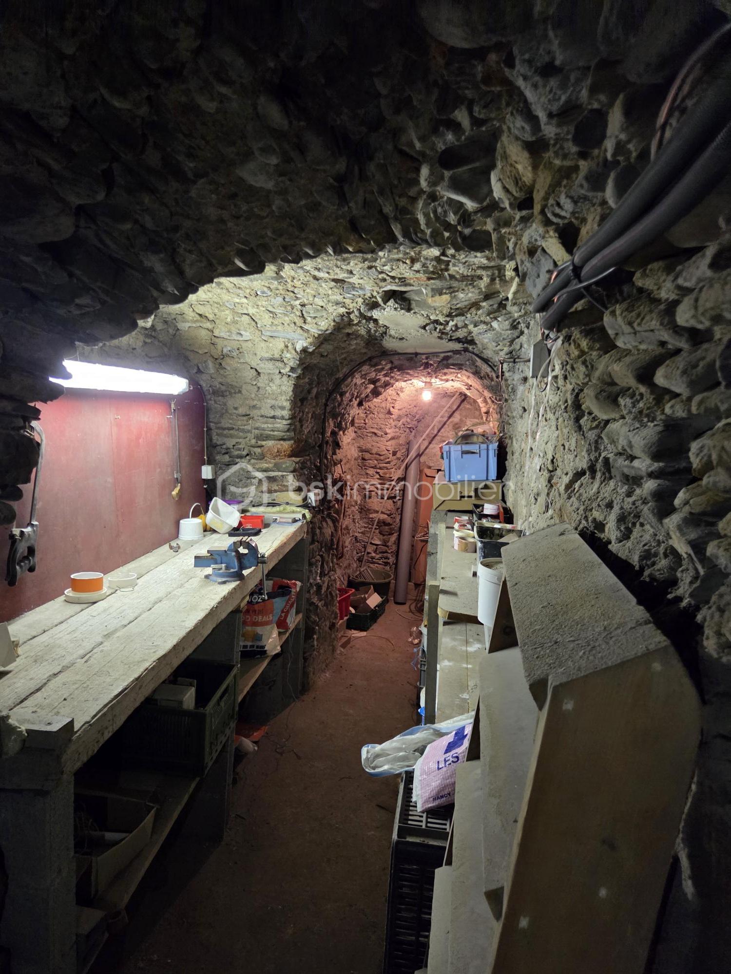Immeuble mixte de 172,02 m² - cave 2.jpg