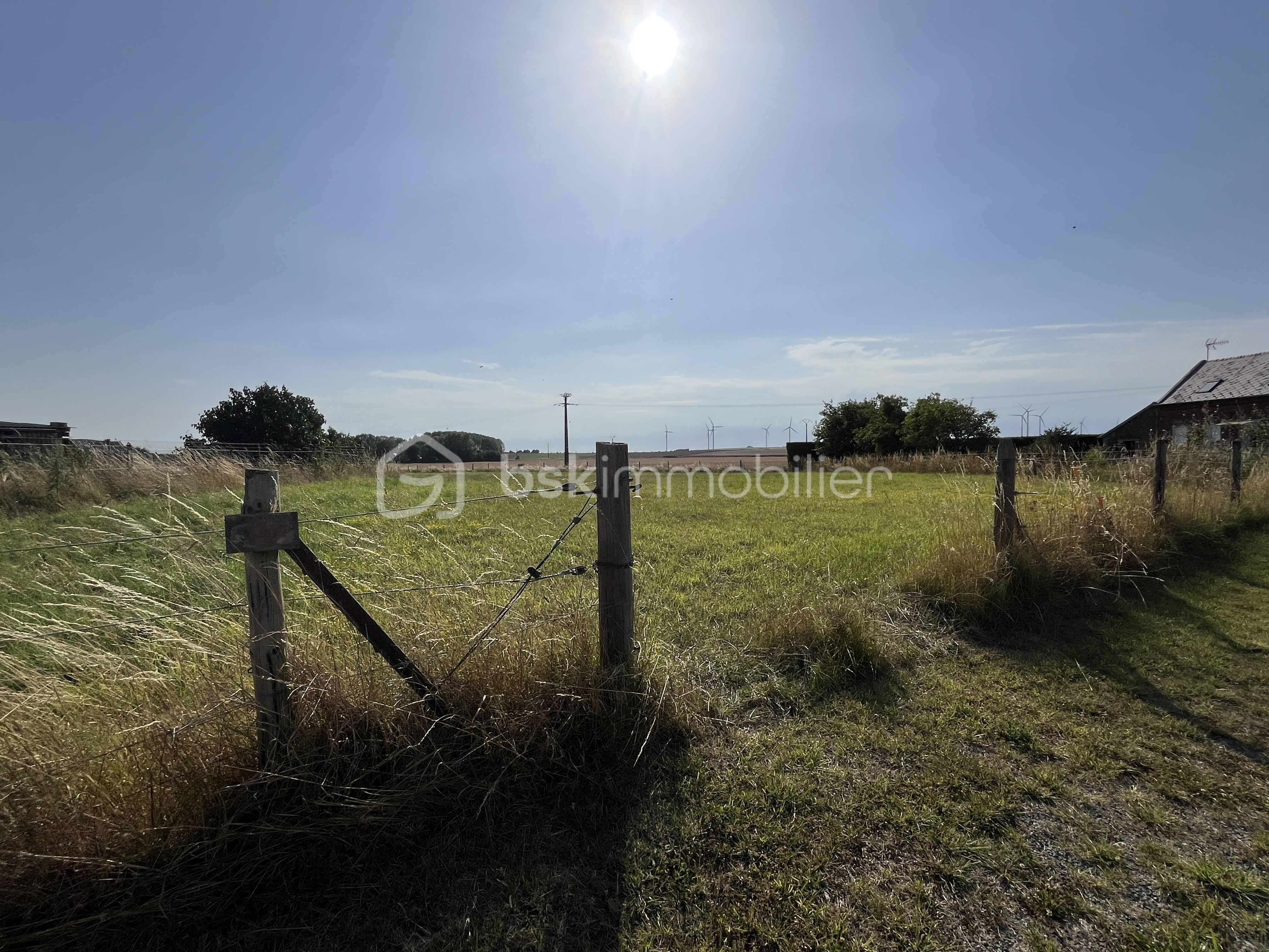 Terrain de 3 541 m² - IMG_5445 2.JPG