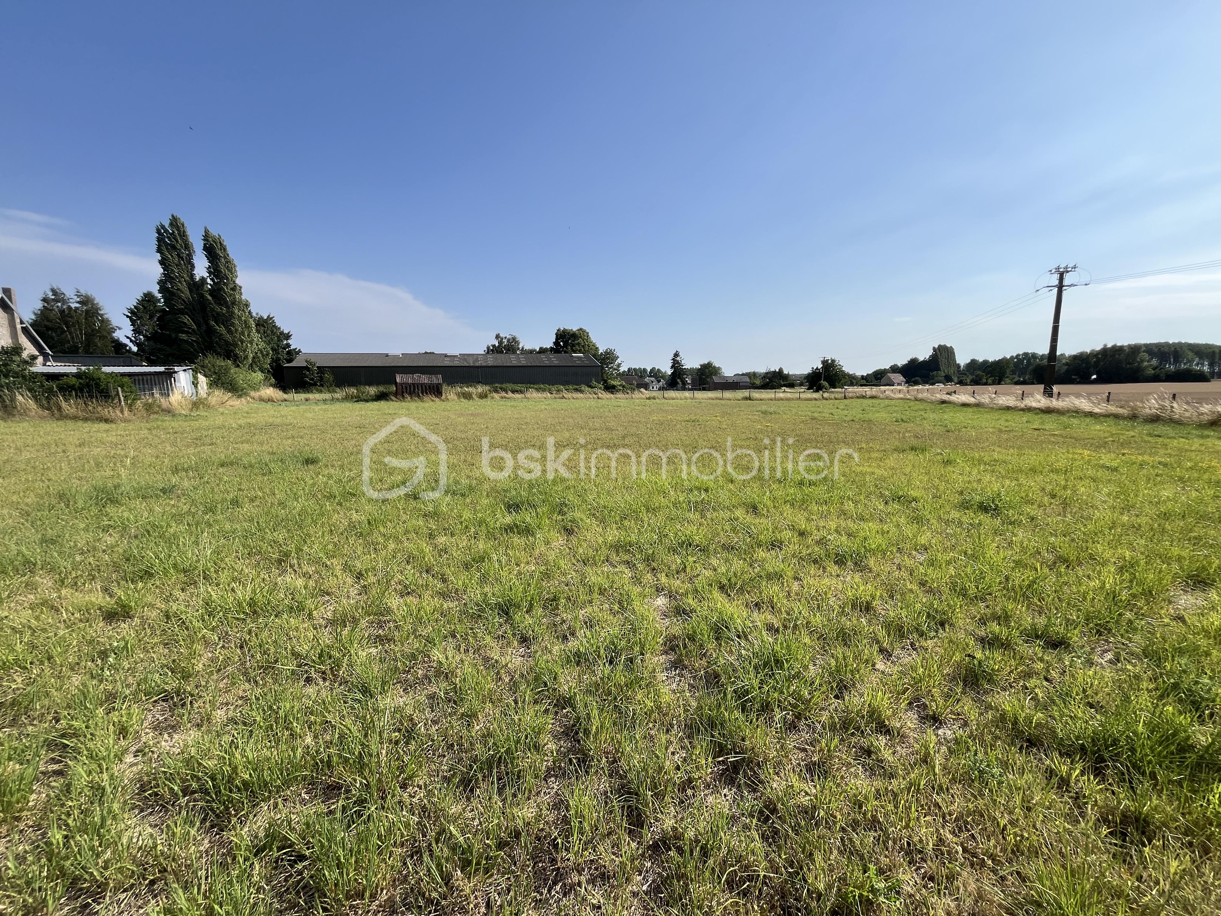 Terrain de 3 541 m² - IMG_5442 2.JPG