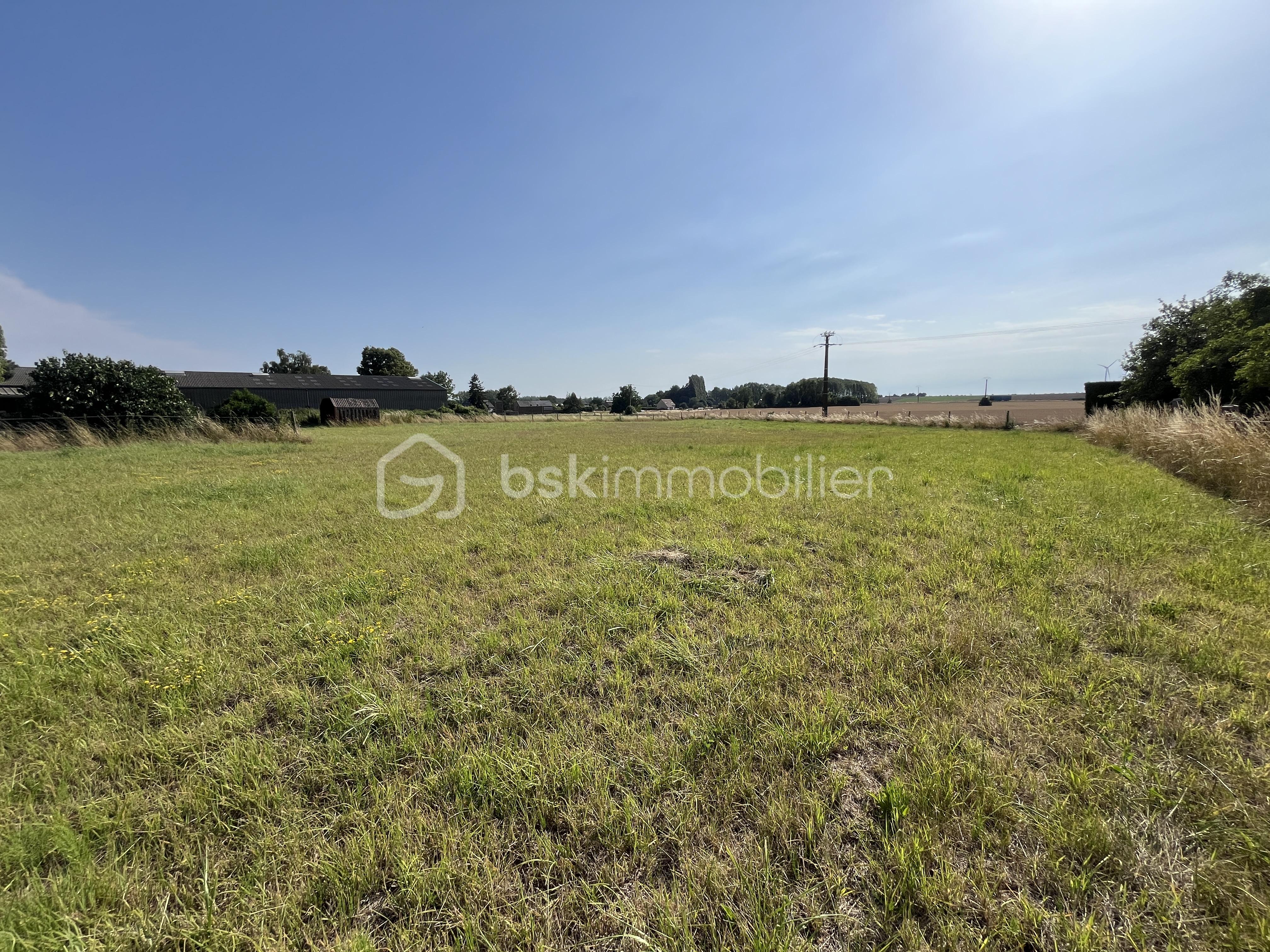 Terrain de 3 541 m² - IMG_5441 2.JPG