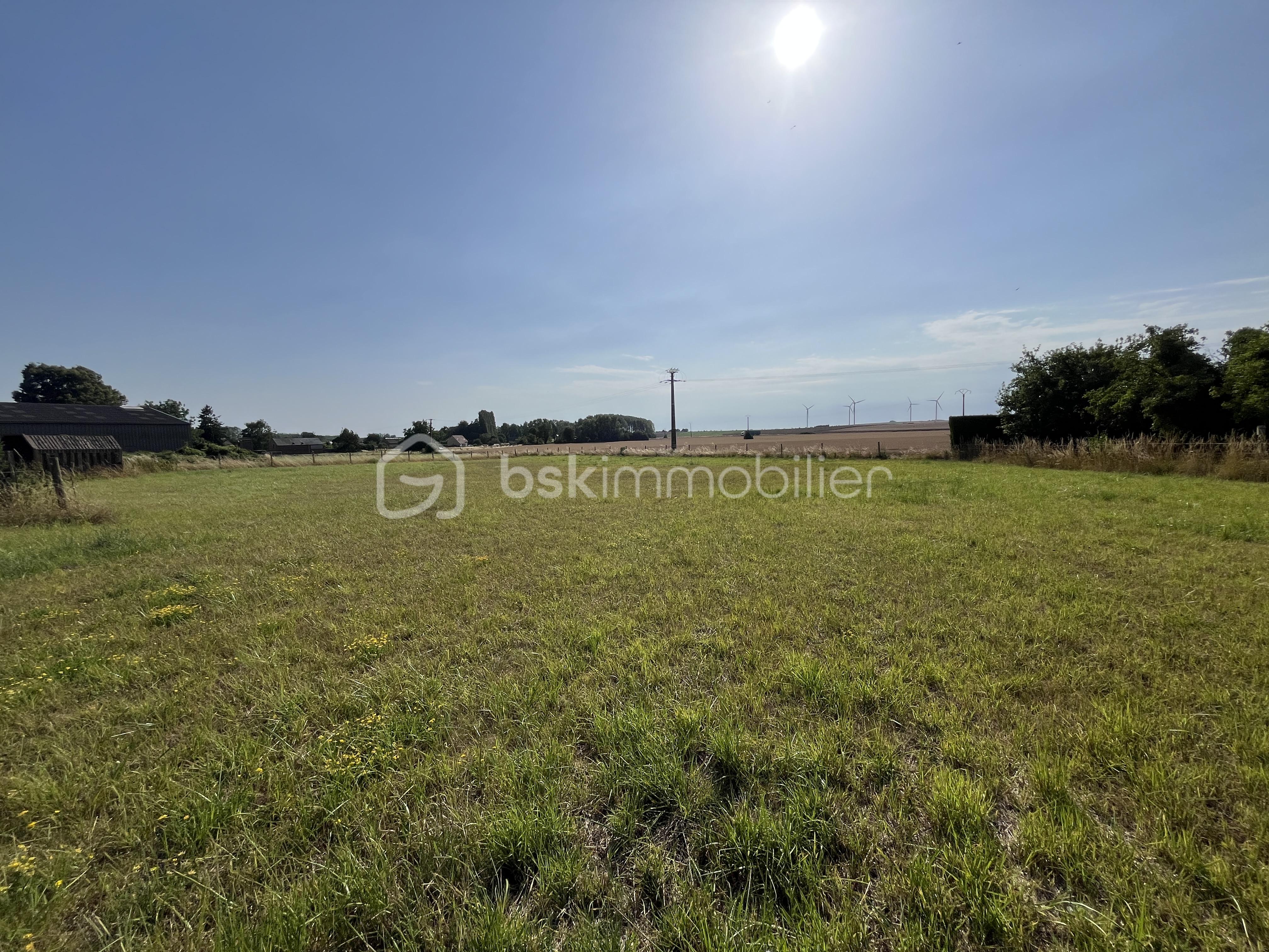 Terrain de 3 541 m² - IMG_5444 2.JPG