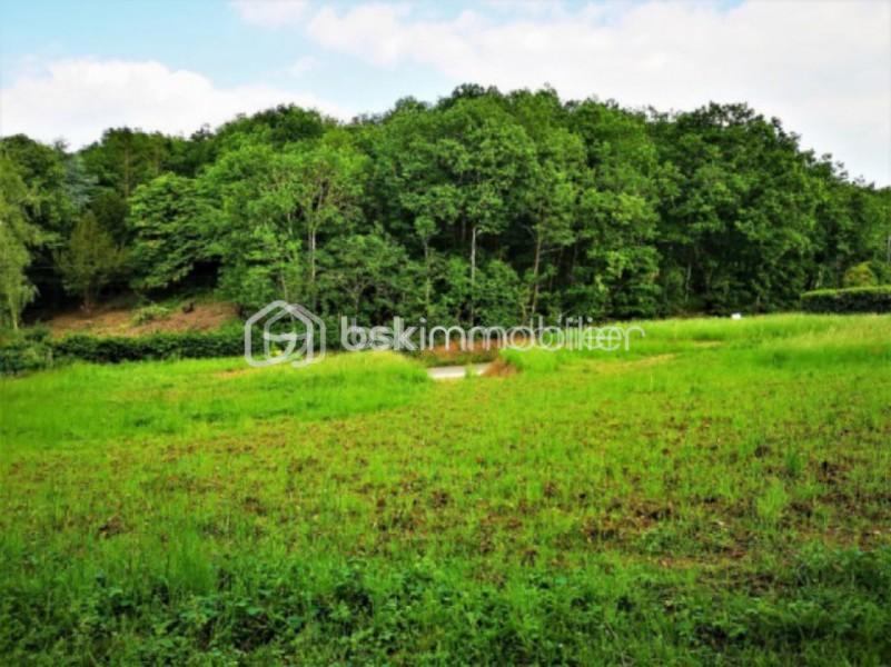 Terrain de 948 m² - LEVEAU 2.jpg