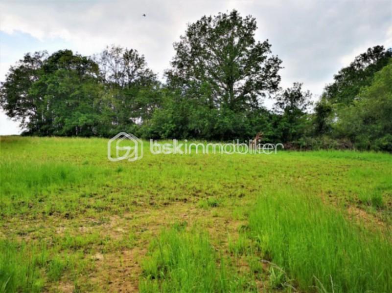 Terrain de 948 m² - LEVEAU 3.jpg