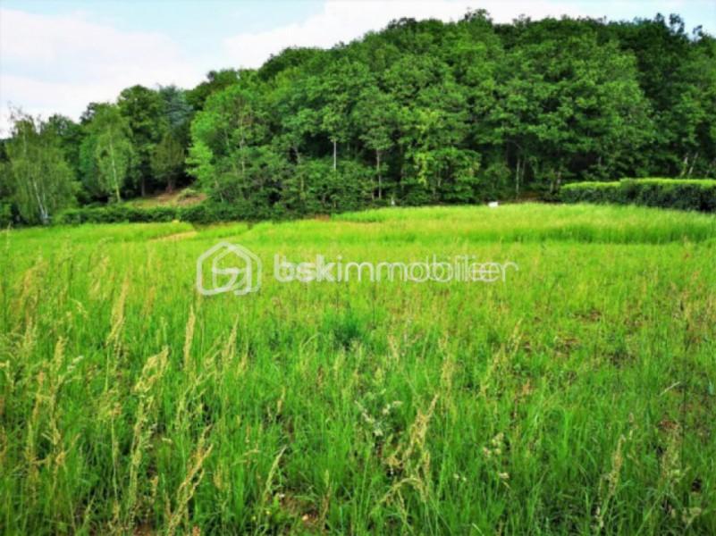Terrain de 948 m² - LEVEAU 1.jpg