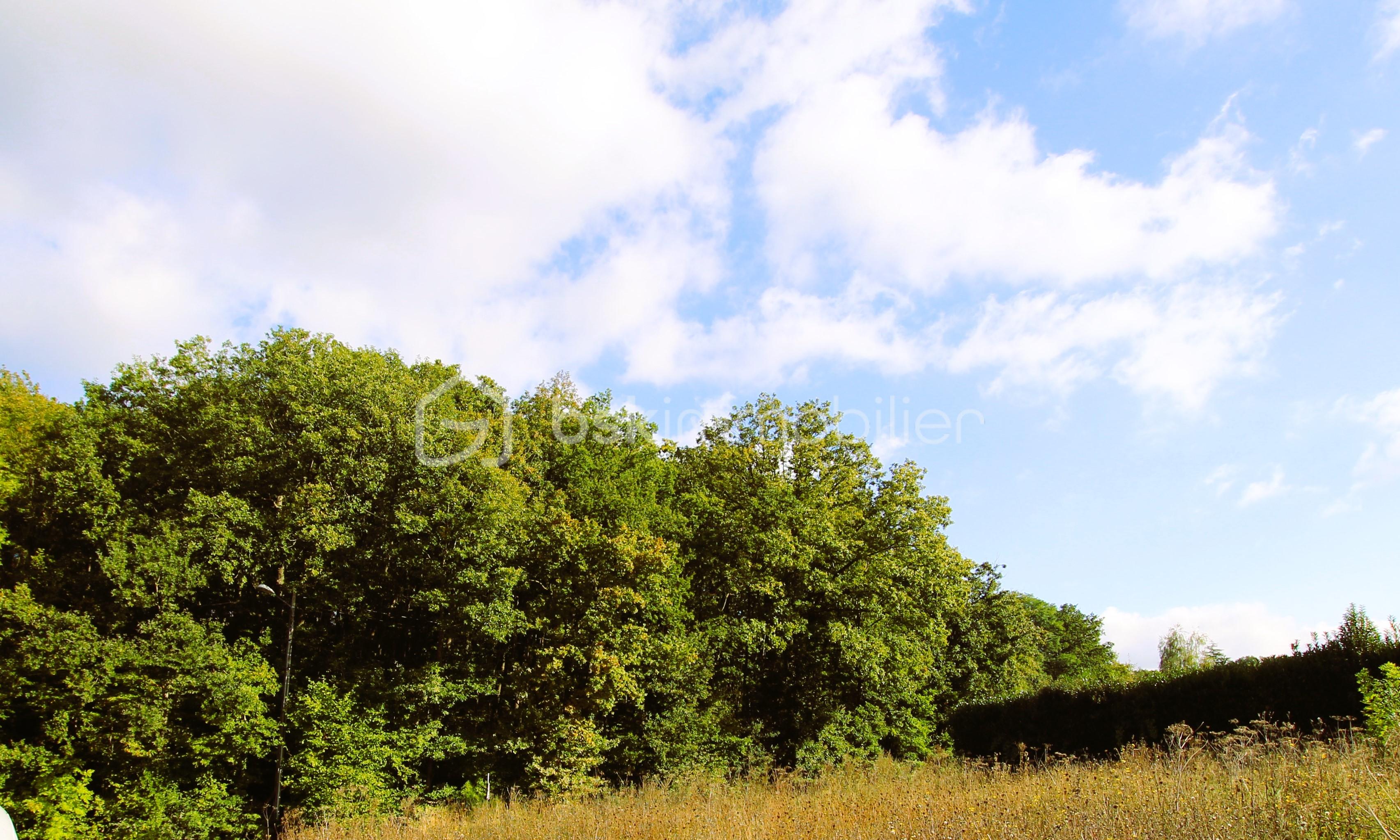 Terrain de 948 m² - LEVEAU  948  1.jpg