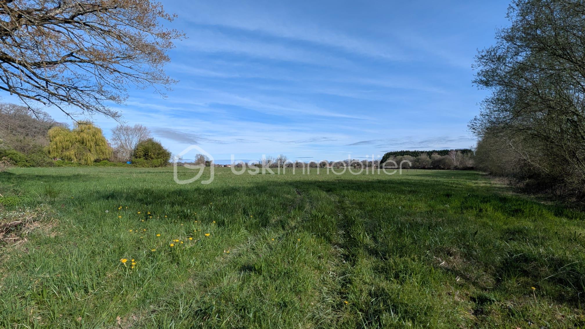 WhatsApp Image 2026-03-16 at 21.58.21.jpeg