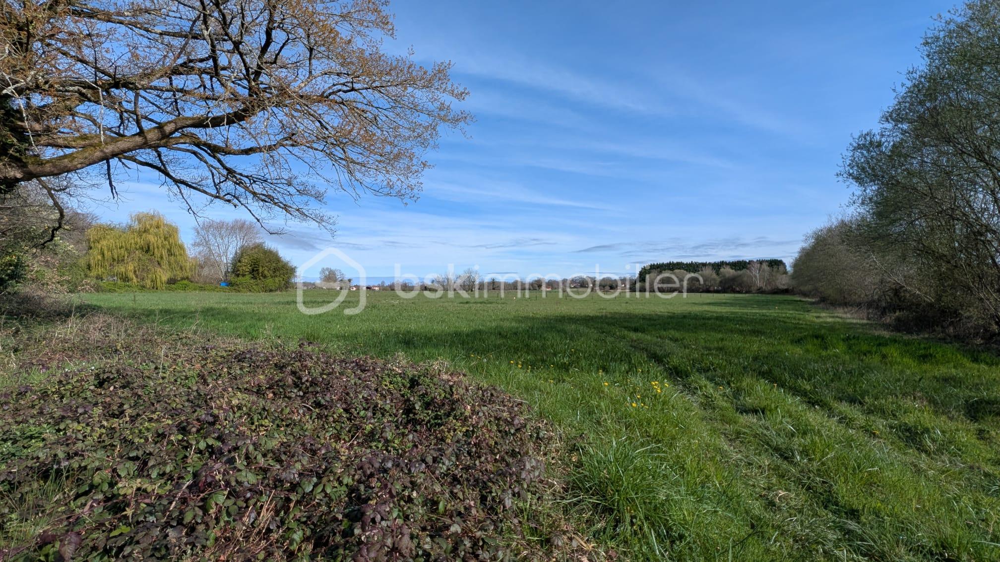 WhatsApp Image 2026-03-16 at 21.58.21 (1).jpeg