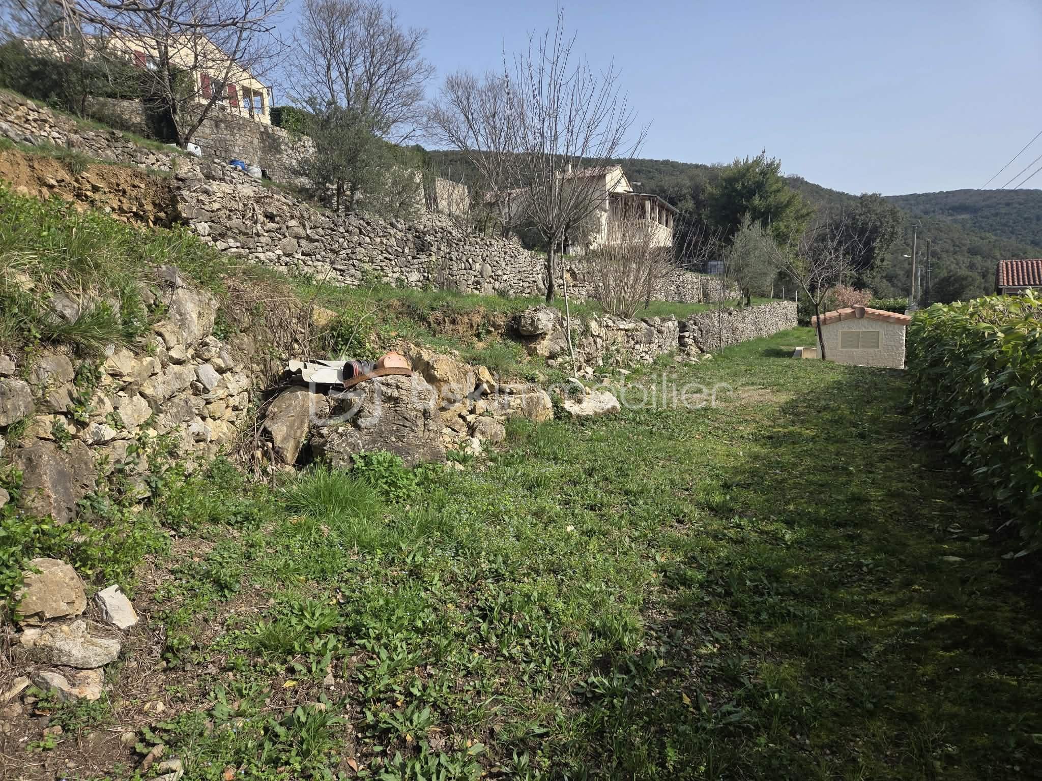 1e2c9372-d29c-4d8d-ad0f-6696e72d91f0.jfif