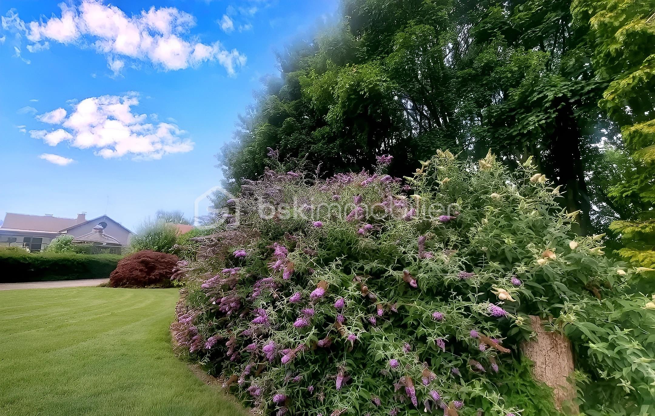 Propriete de 200 m² - DUISANS JF EXT OK ARBRE PAPILLONS v maison.jpg