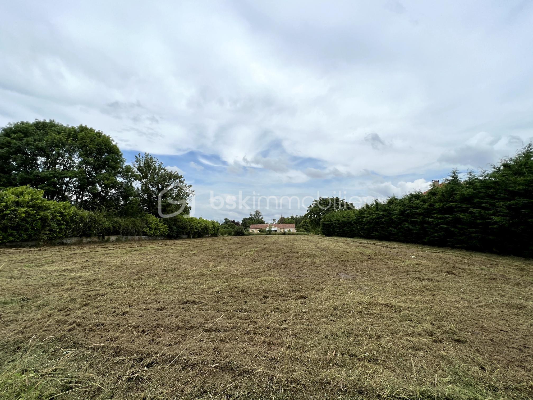 Terrain de 2 800 m² - 1762362920371.jpg