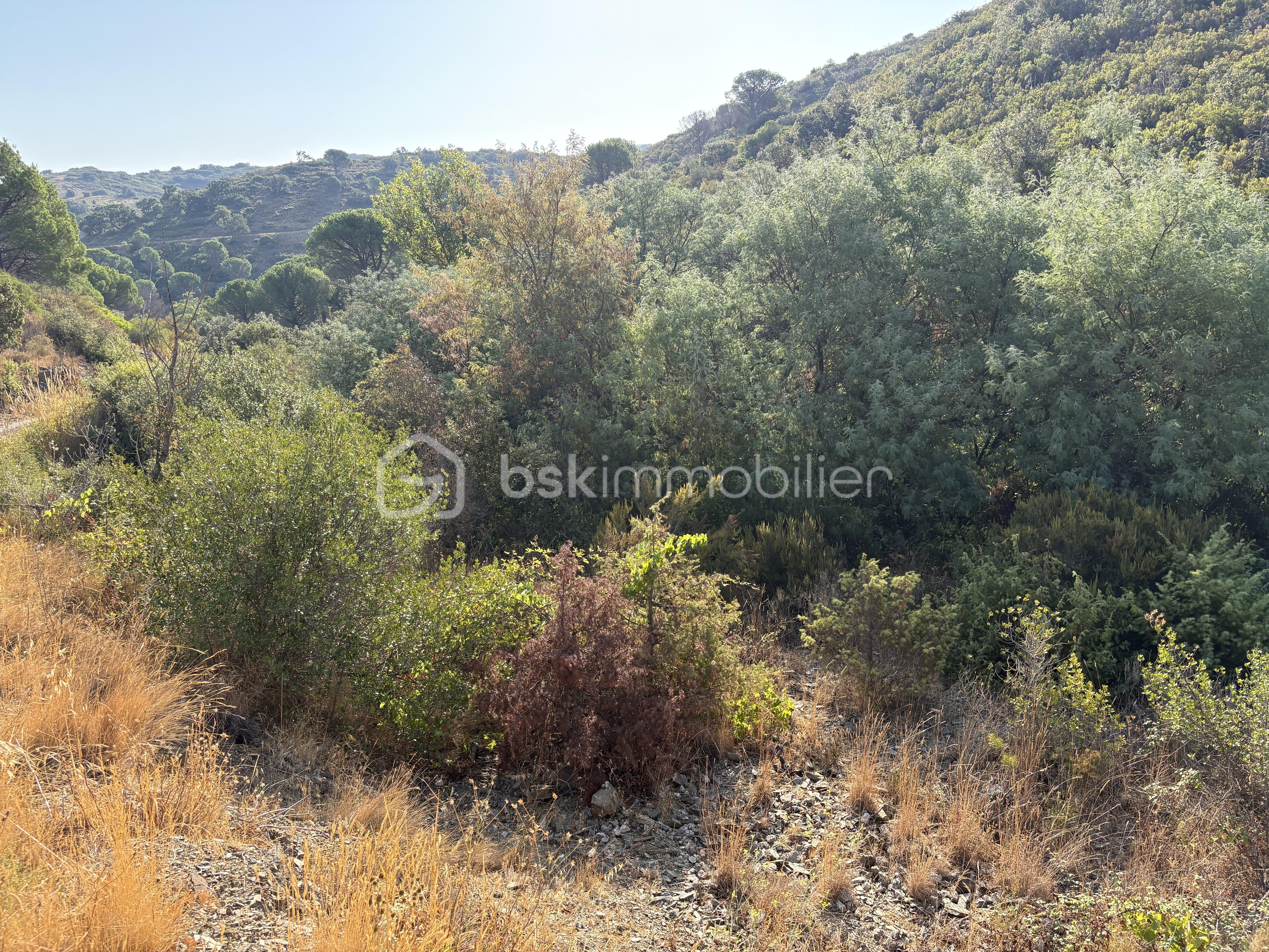 IMG_8910.jpeg