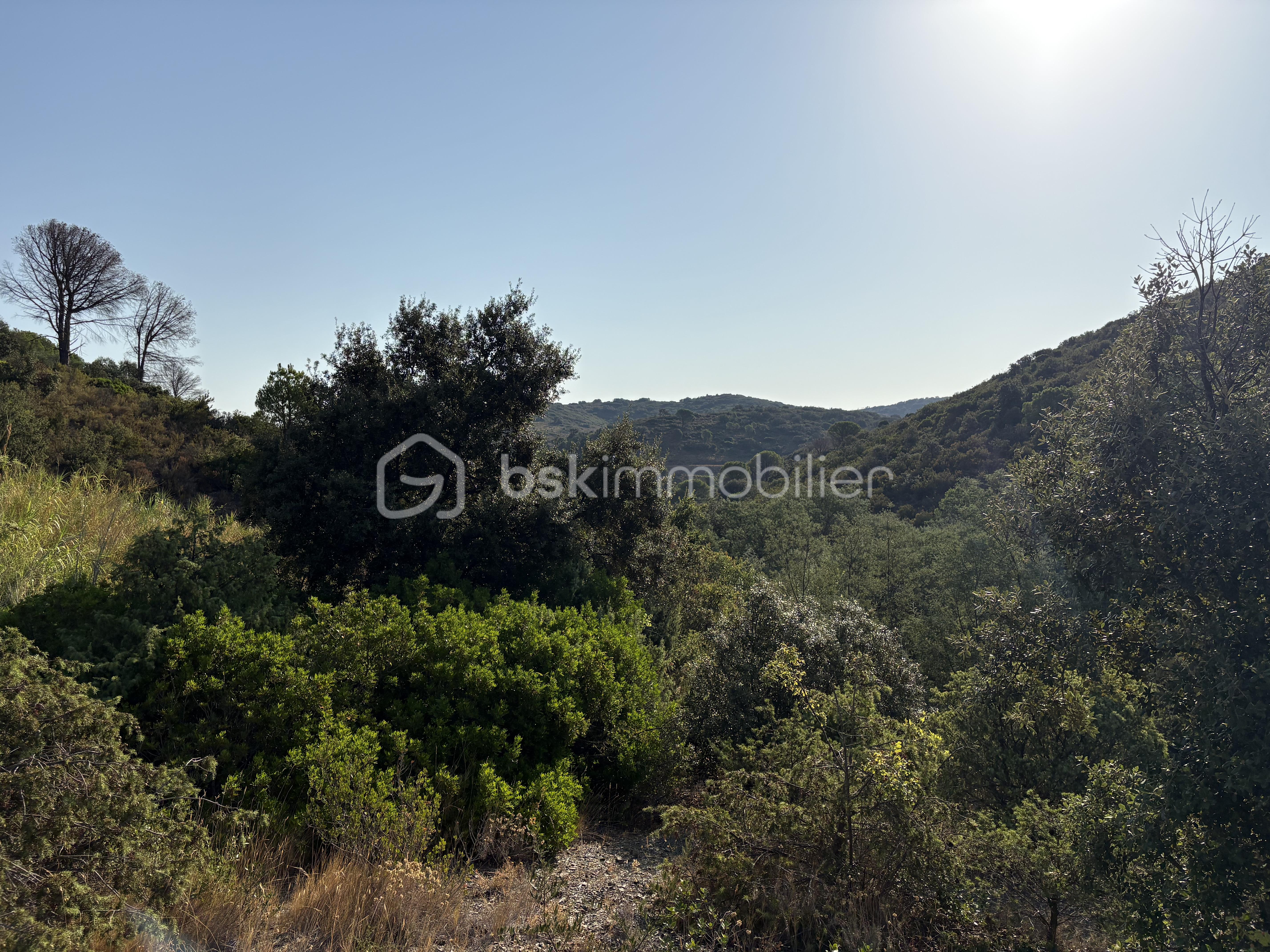 IMG_8903.jpeg