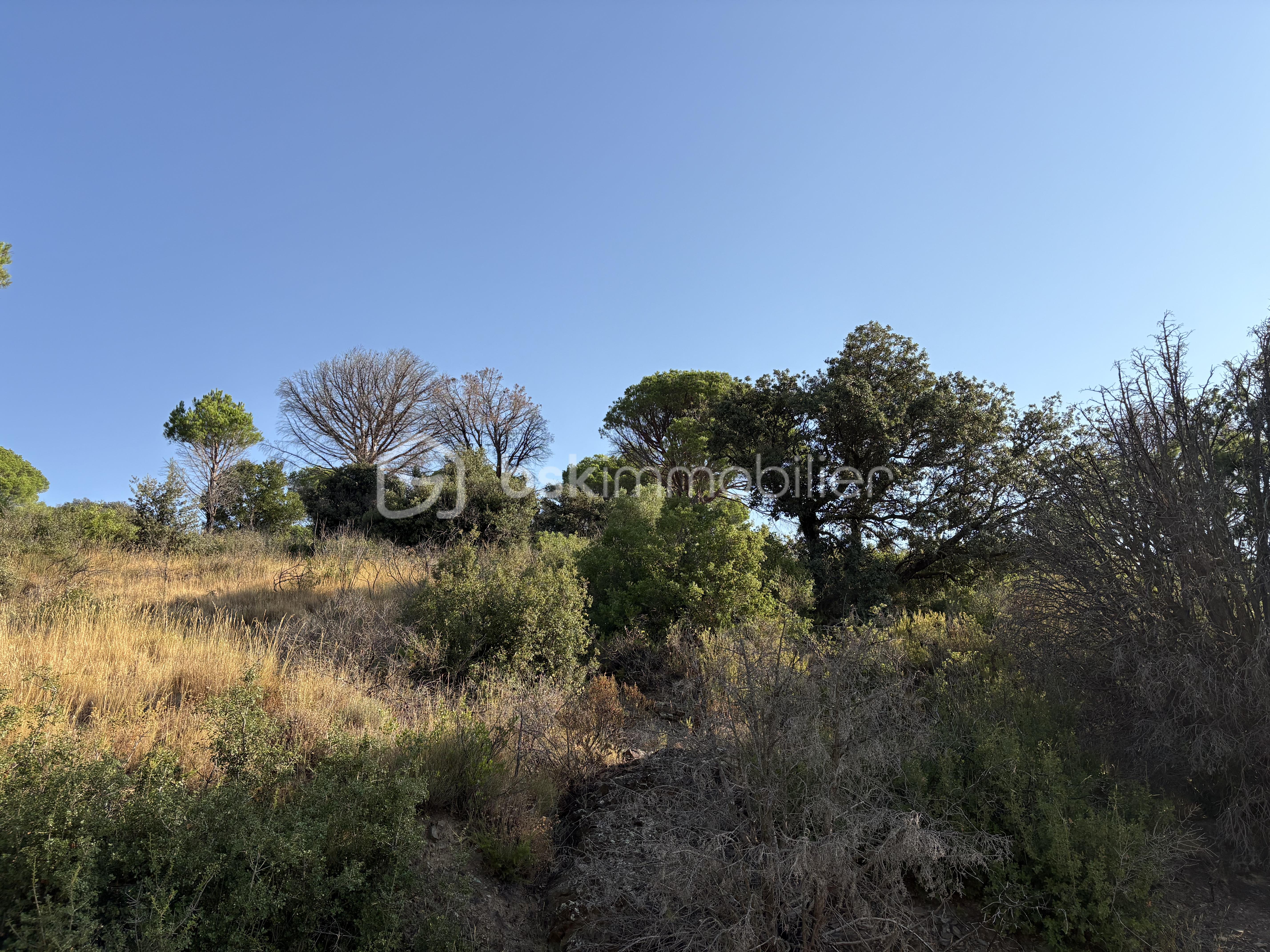 IMG_8905.jpeg